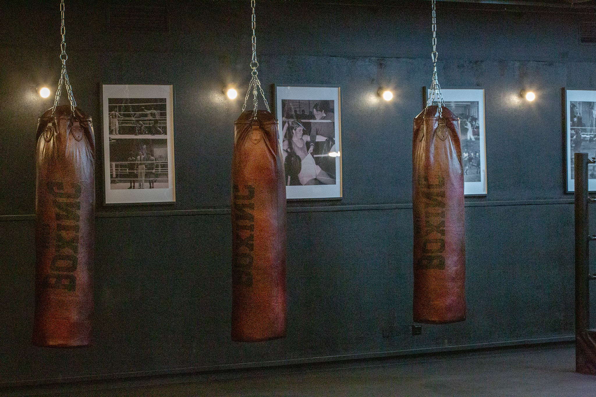 CUP_Boxing hub_20250904_12