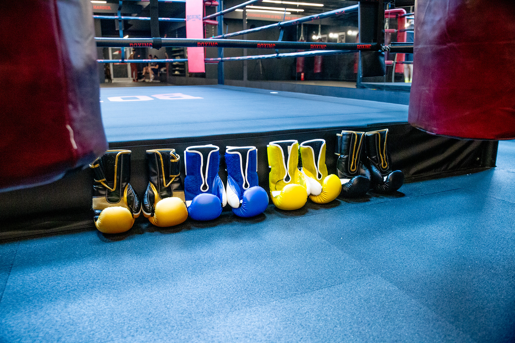 CUP_Boxing hub_20250904_9