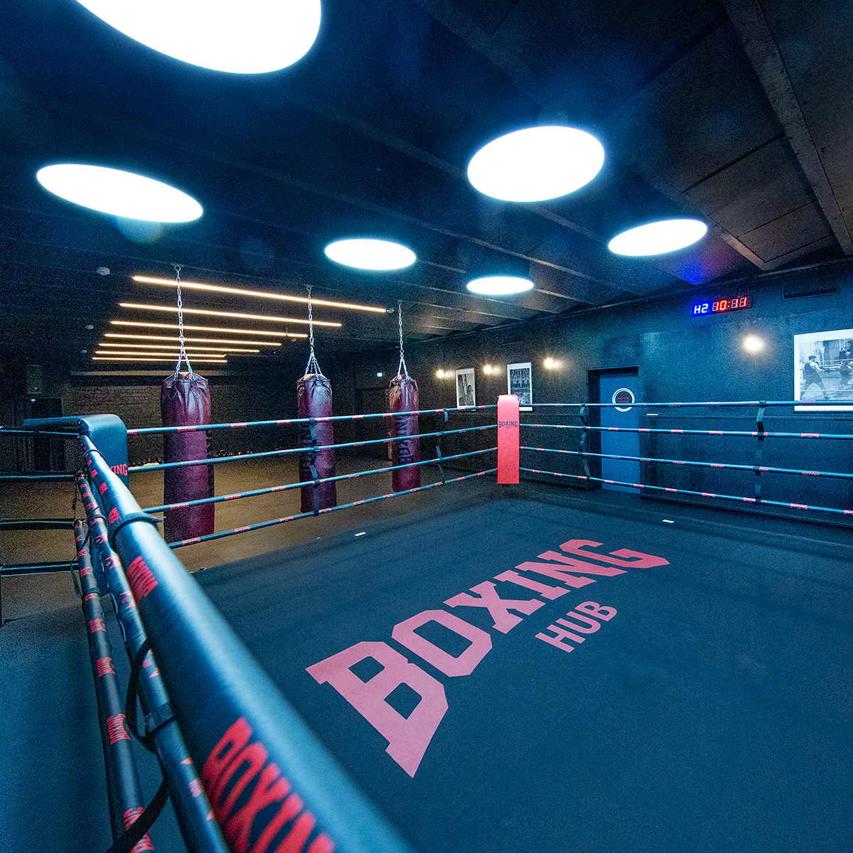 Boxing Hub