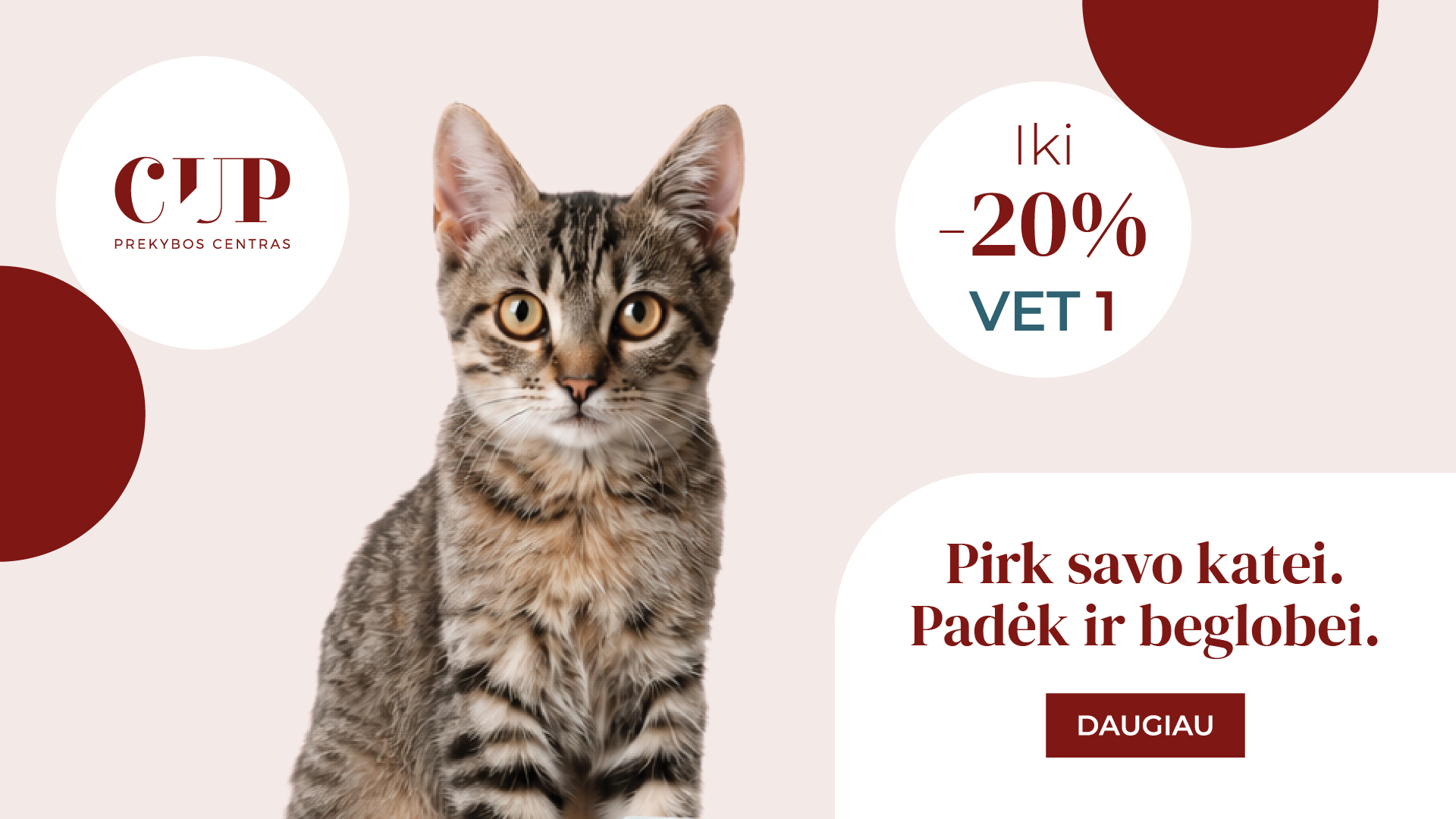 CUP ir VET1 Tarptautinės kačių dienos iniciatyva „Rasų globai“
