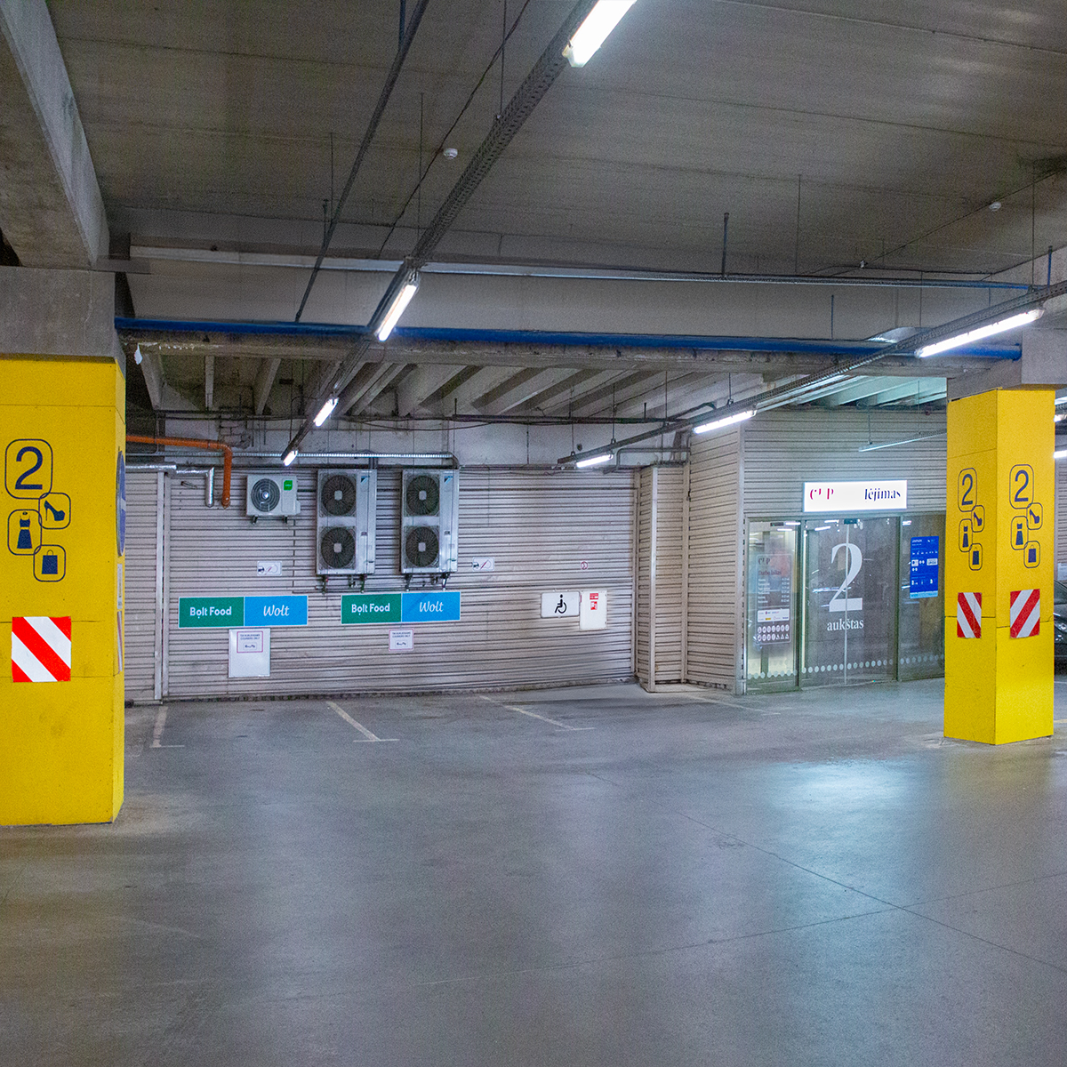 CUP_Bolt Wolt 2a_20260326_2_1200_1200