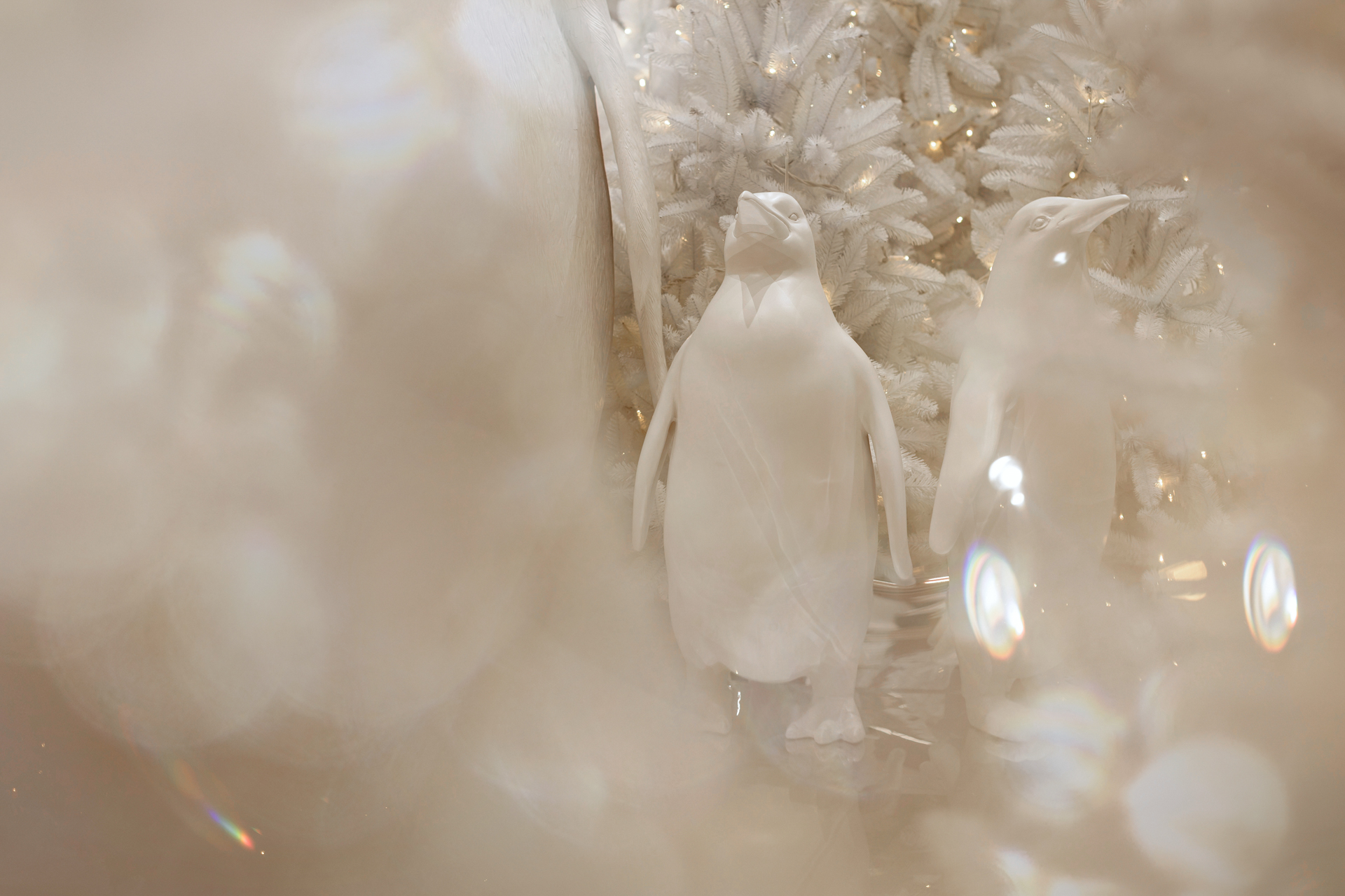 M. Petruškevičiaus sukurta arktinė pasaka 5 aukšte