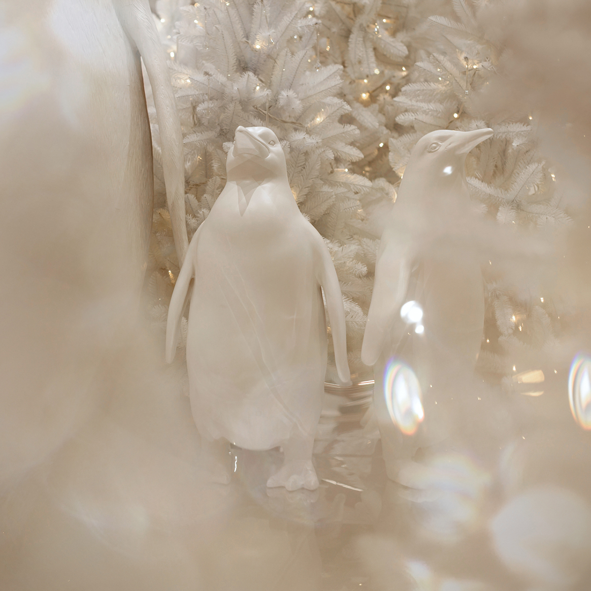 CUP_5a Kaledinis interjeras_20251125_1080_1080