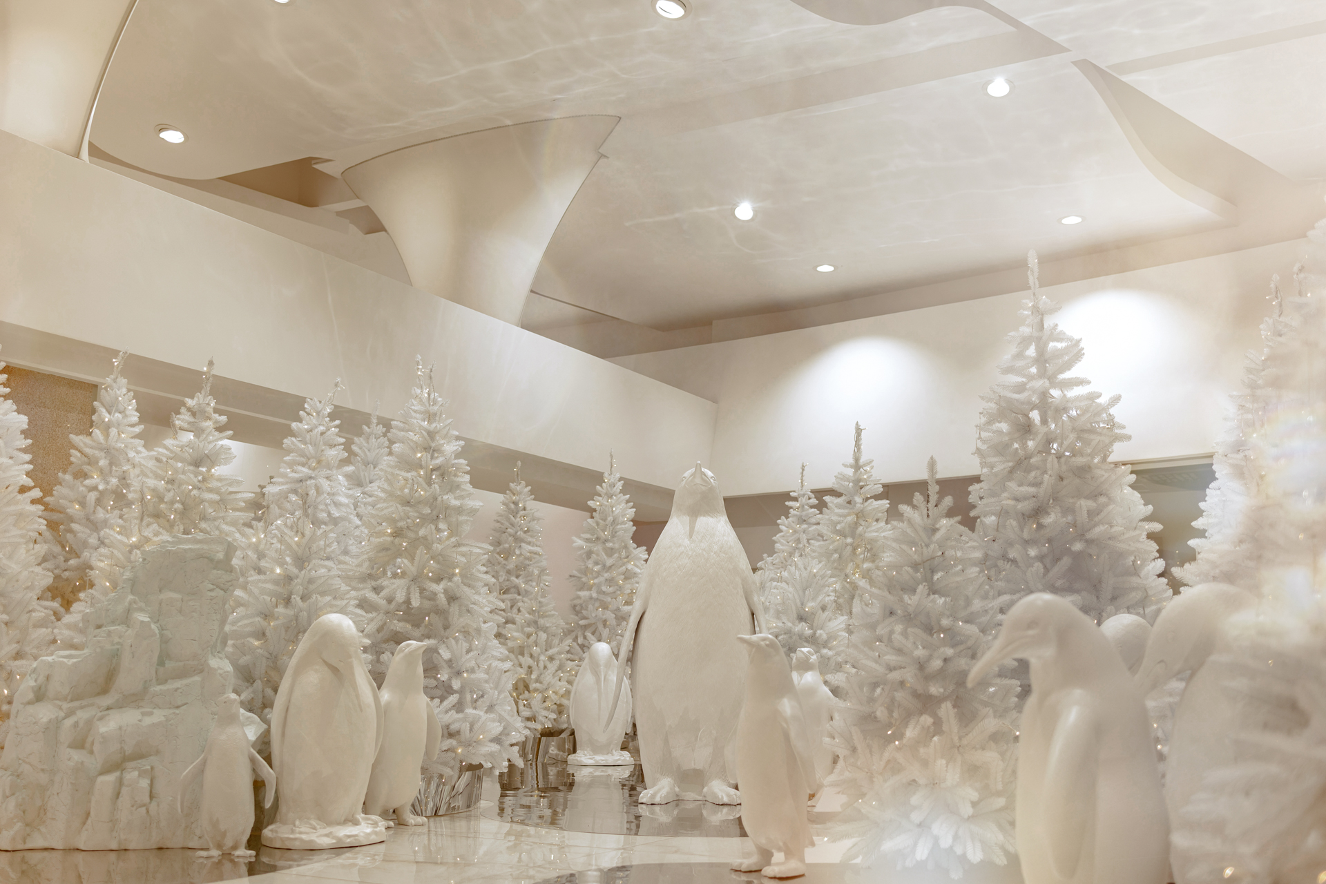 CUP_5a Kaledinis interjeras_20251125_3