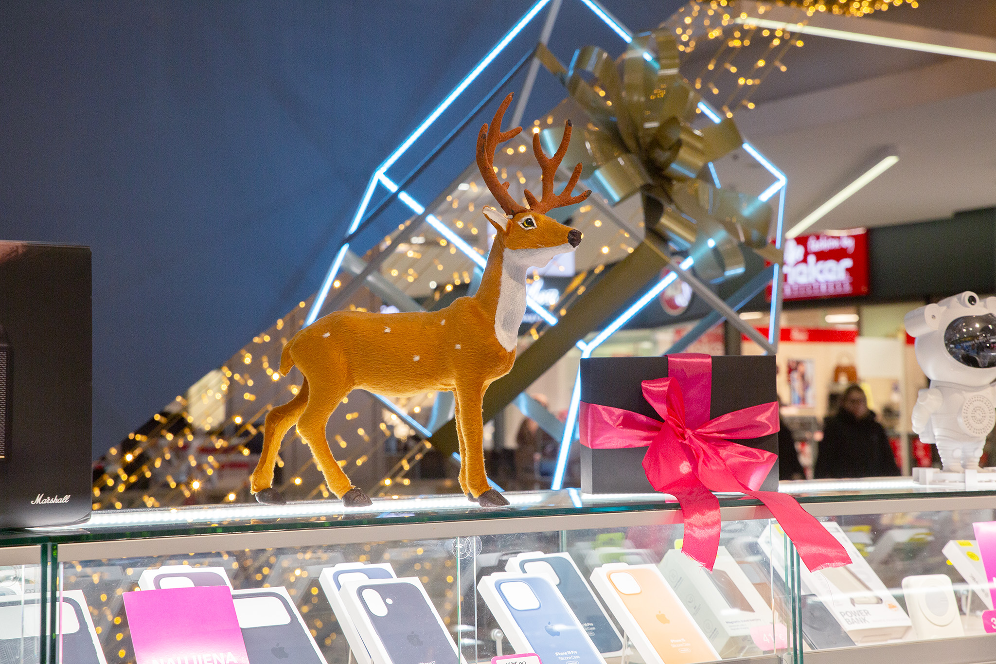 CUP_Kalediniai papuosimai_naujiena_20251222_10