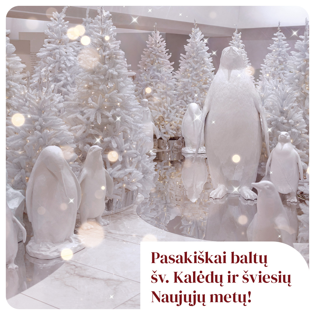 CUP_Kaledinis Sveikinimas_20251225_1080_1080