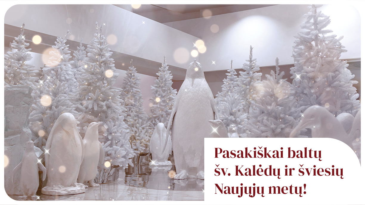 CUP_Kaledinis Sveikinimas_20251225_1224_689