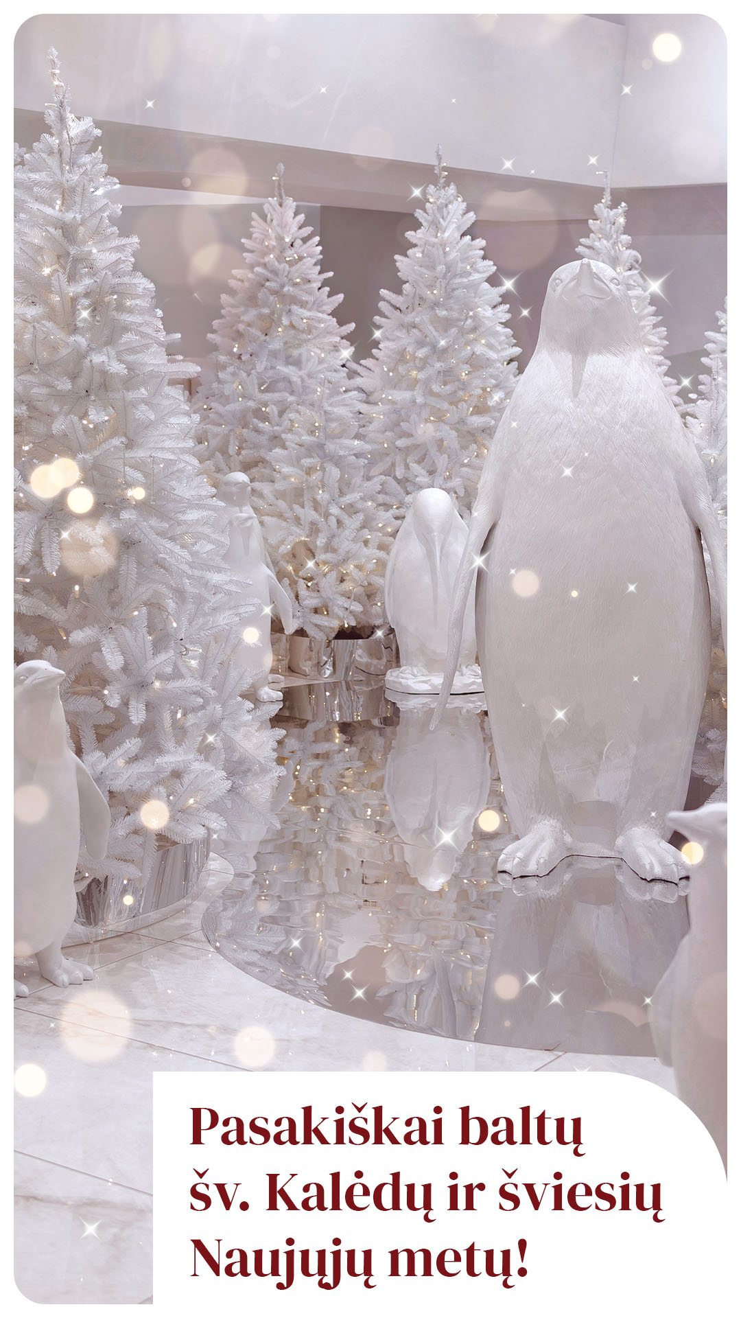 PC CUP sveikina su Šv. Kalėdomis!