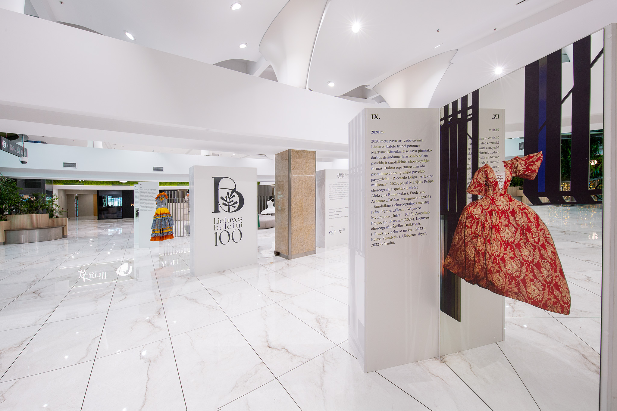 CUP_Paroda_5a_Letuvos_baletui_100_28