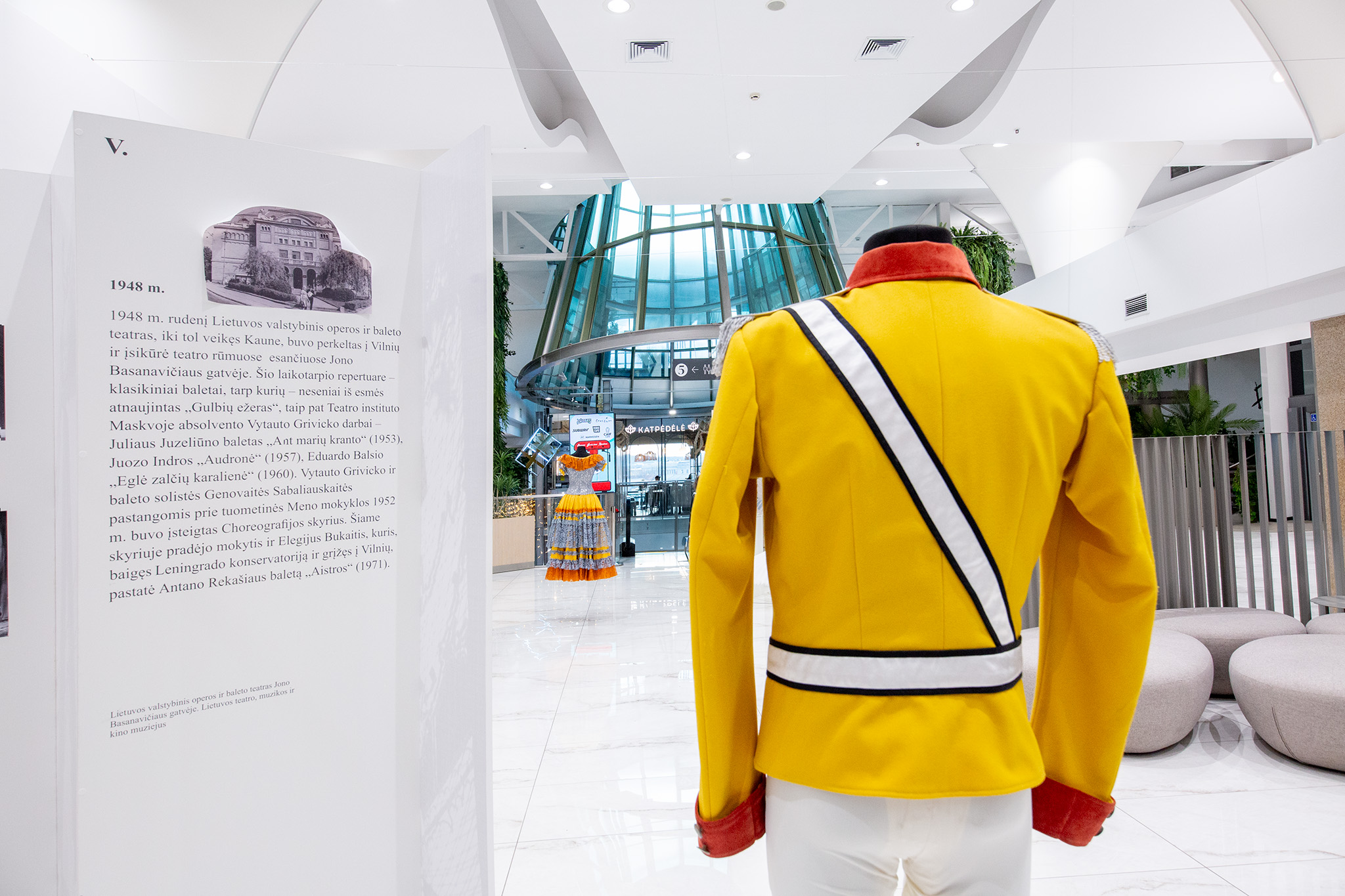 CUP_Paroda_5a_Letuvos_baletui_100_31