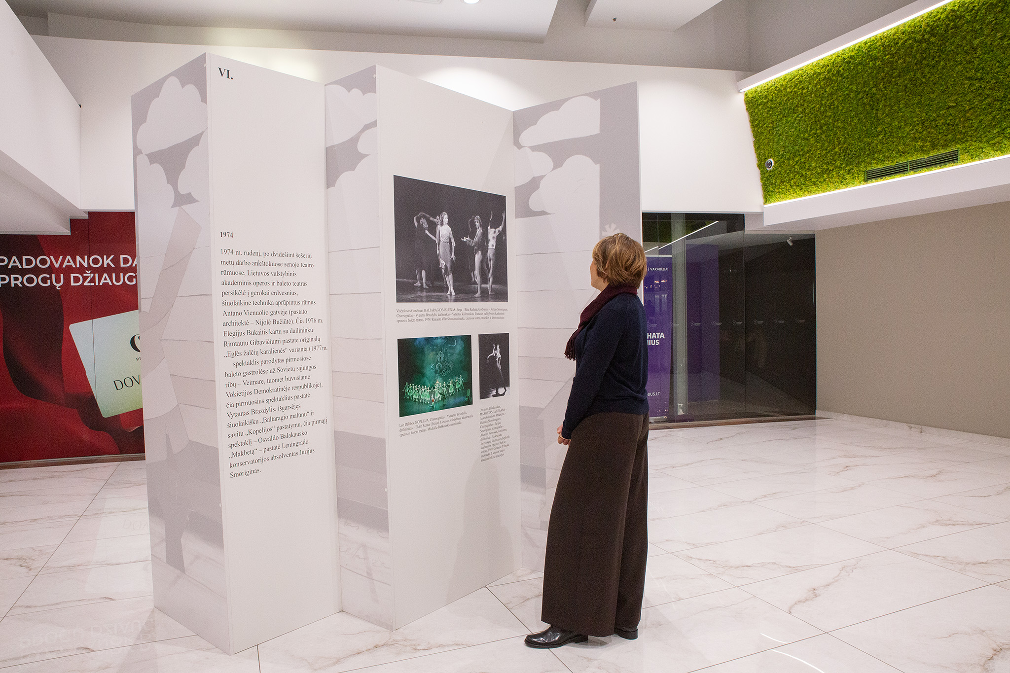 CUP_Paroda_5a_Letuvos_baletui_100_32