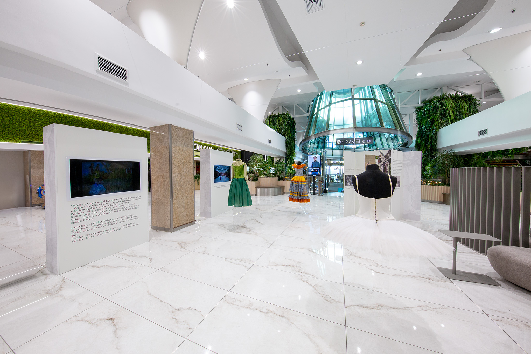 CUP_Paroda_5a_Letuvos_baletui_100_36