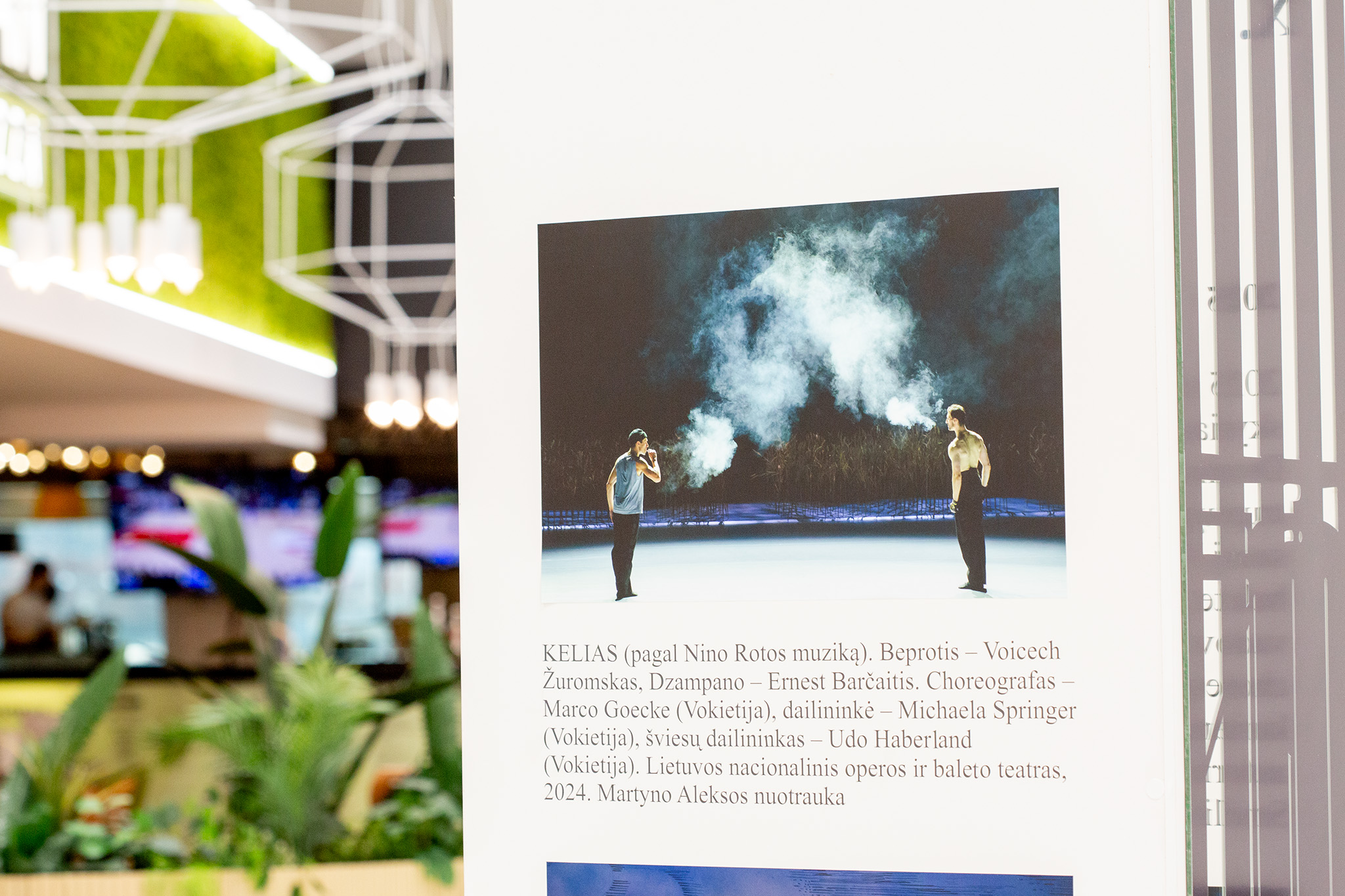 CUP_Paroda_5a_Letuvos_baletui_100_7