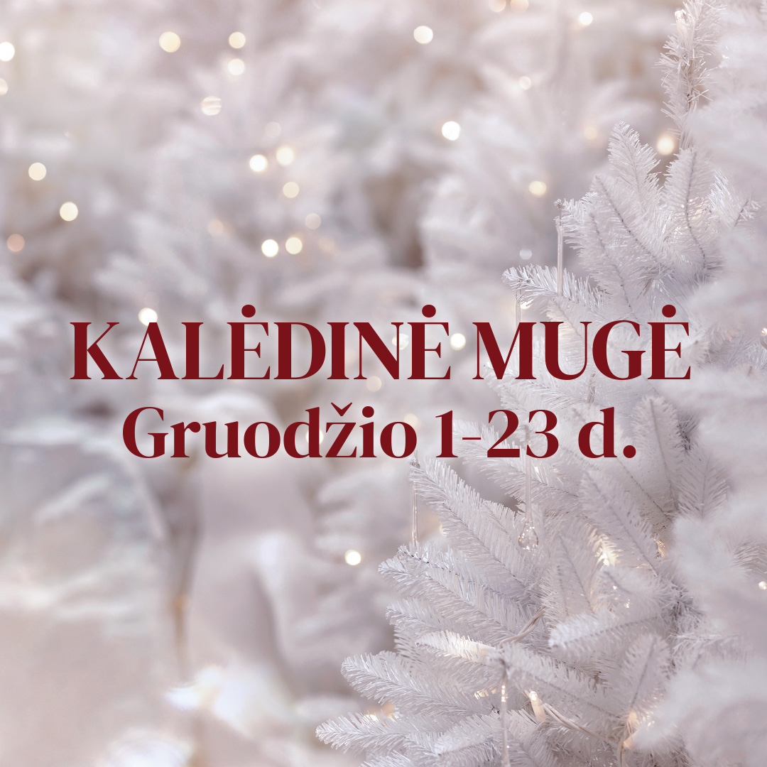 Kviečiame į PC CUP Kalėdinę mugę!