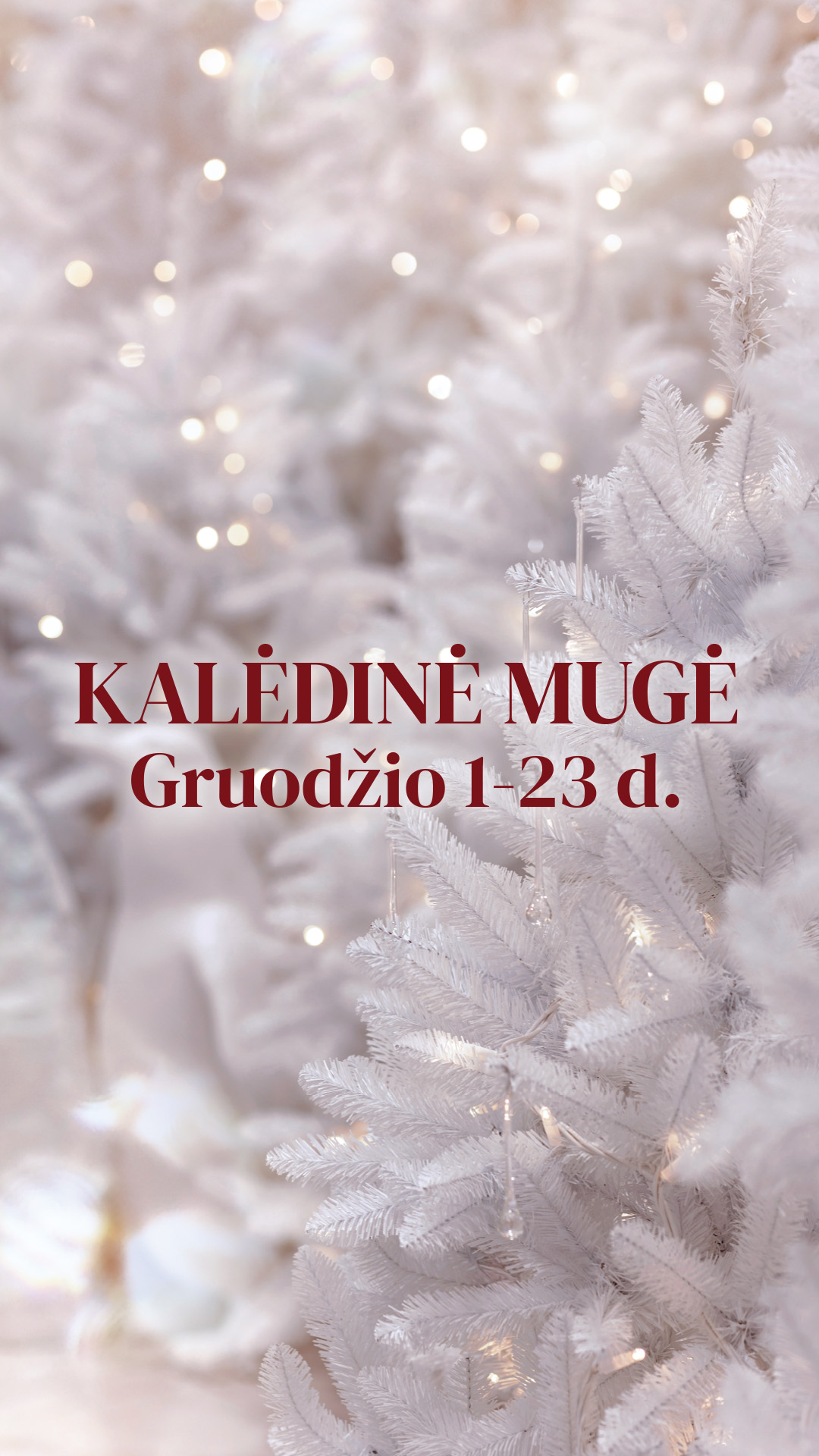 Kviečiame į PC CUP Kalėdinę mugę!