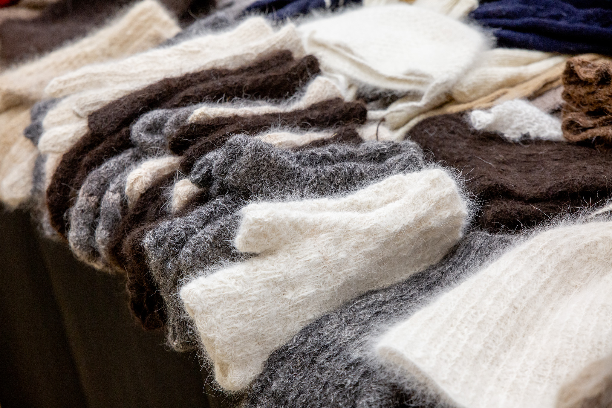 CUP_naujiena_kaledine muge_20251210_15