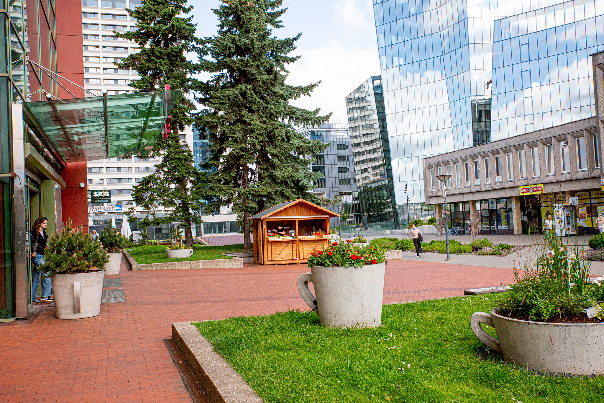 cup-vaisiu krautuvele-250702_1