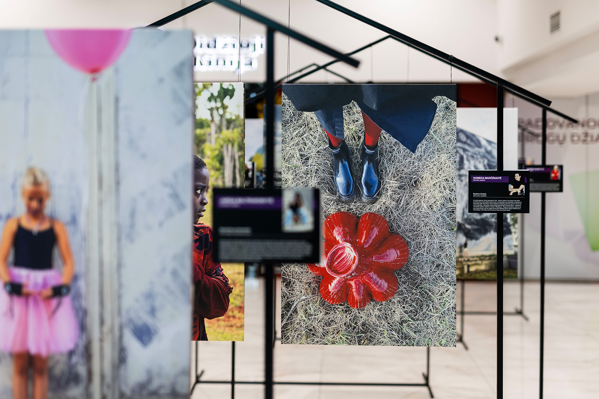 CUP_Atspindziai_20260423_11