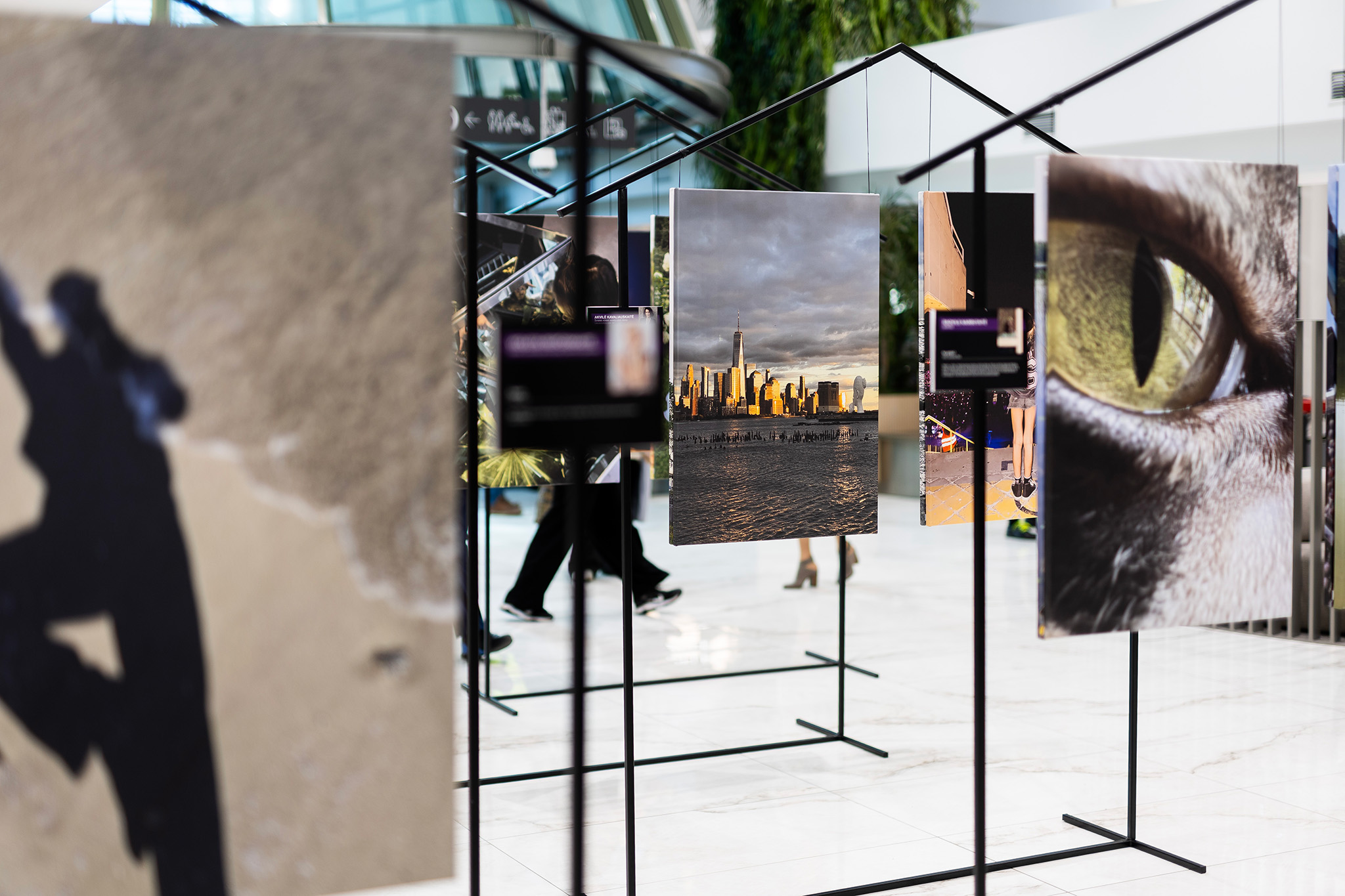 CUP_Atspindziai_20260423_31