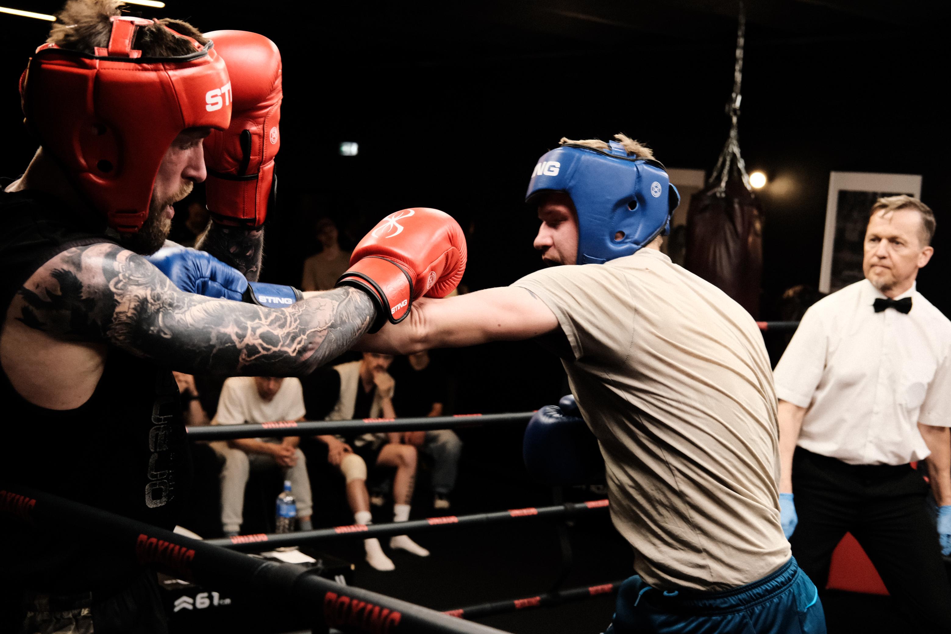 CUP_Boxing hub_turnyras 20260524_11