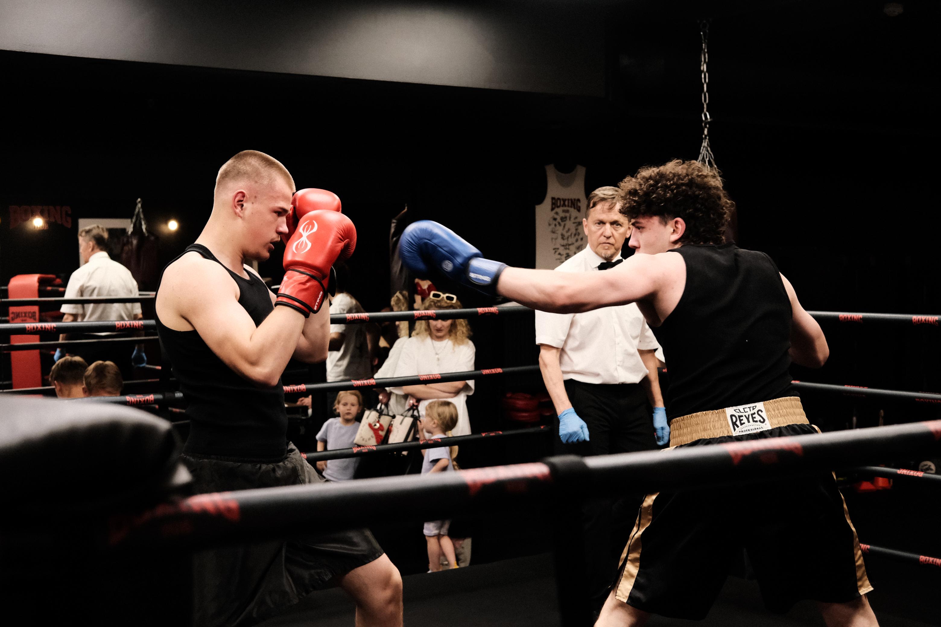 CUP_Boxing hub_turnyras 20260524_45