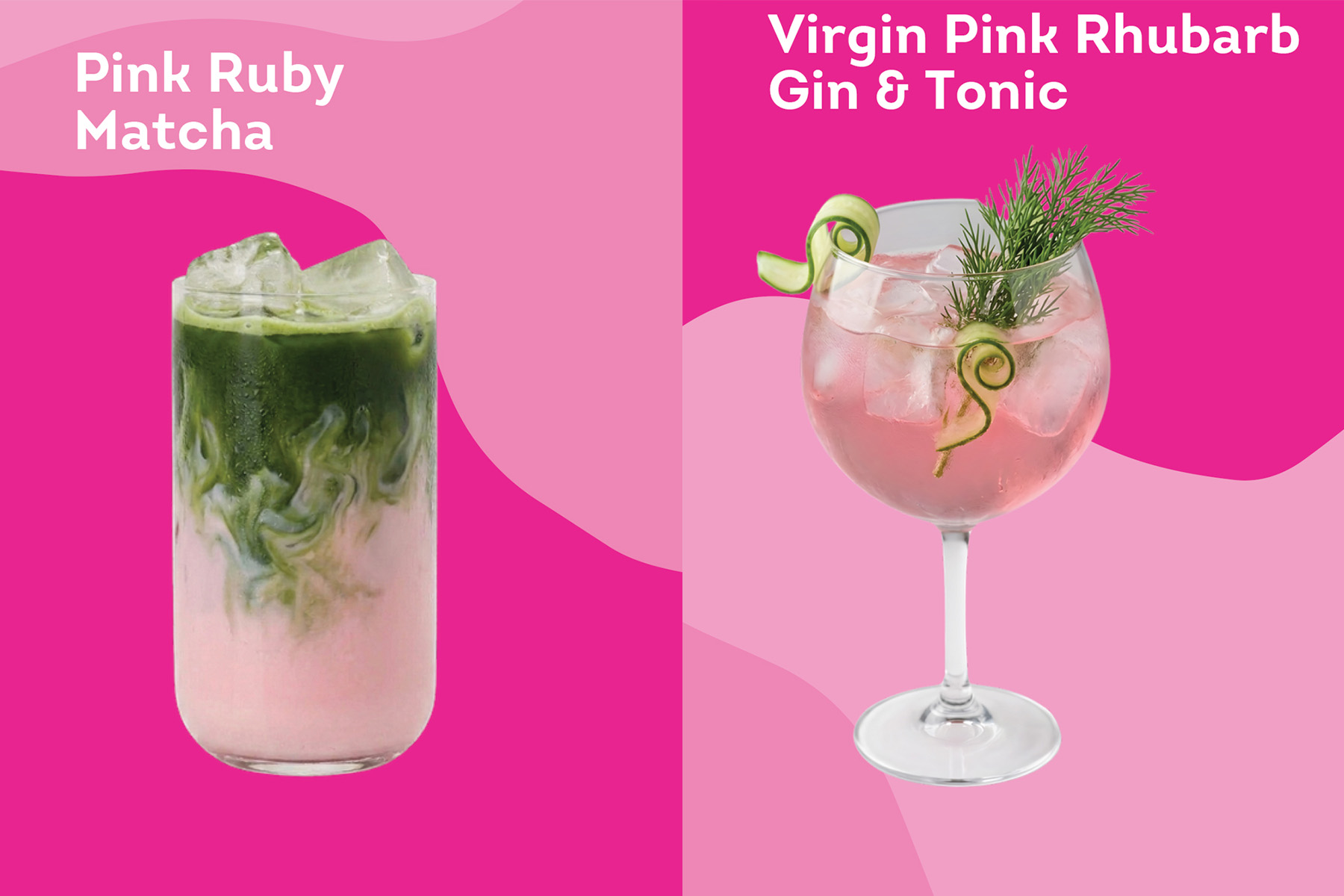 CUP_Dziugas_Pink soup_20260530_1