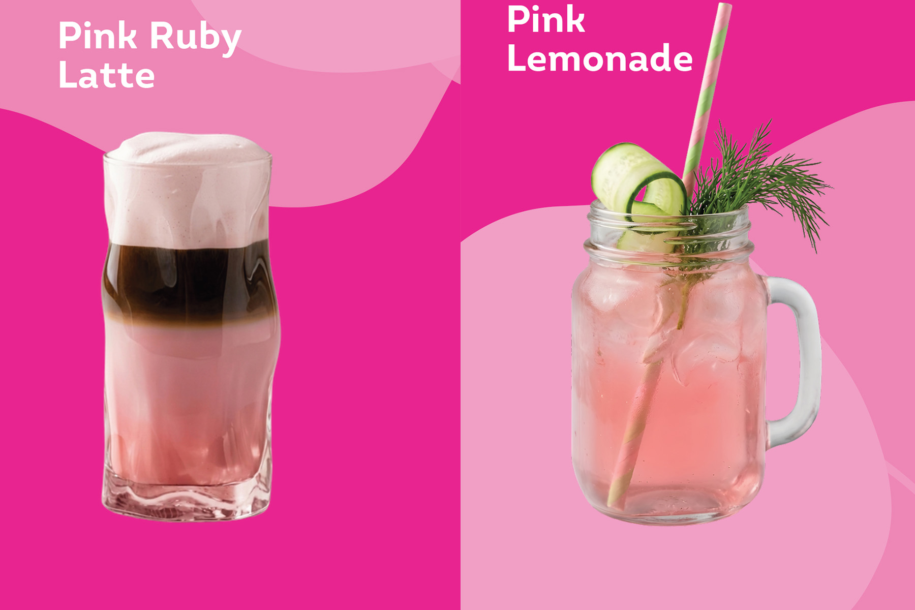 CUP_Dziugas_Pink soup_20260530_2