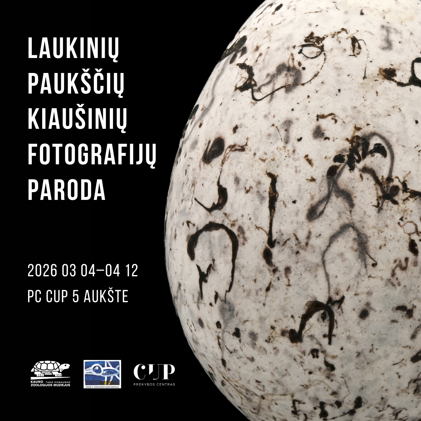 CUP_Kiausiniu paroda_naujiena_20260225_1080_1080