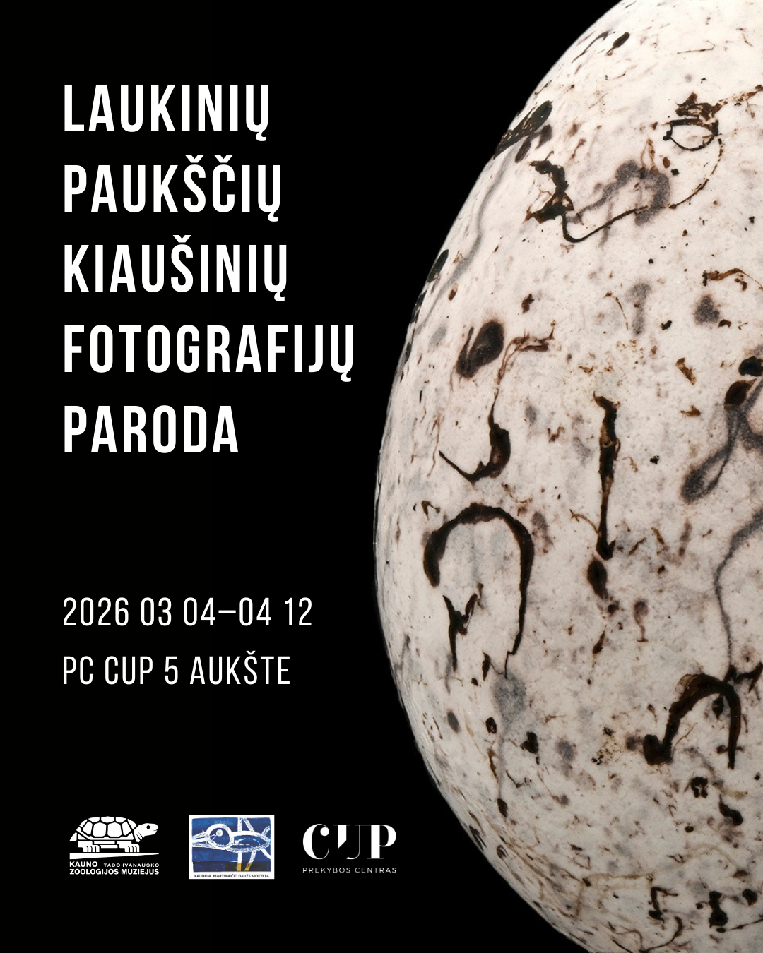 Kviečiame į laukinių paukščių kiaušinių fotografijų parodą!