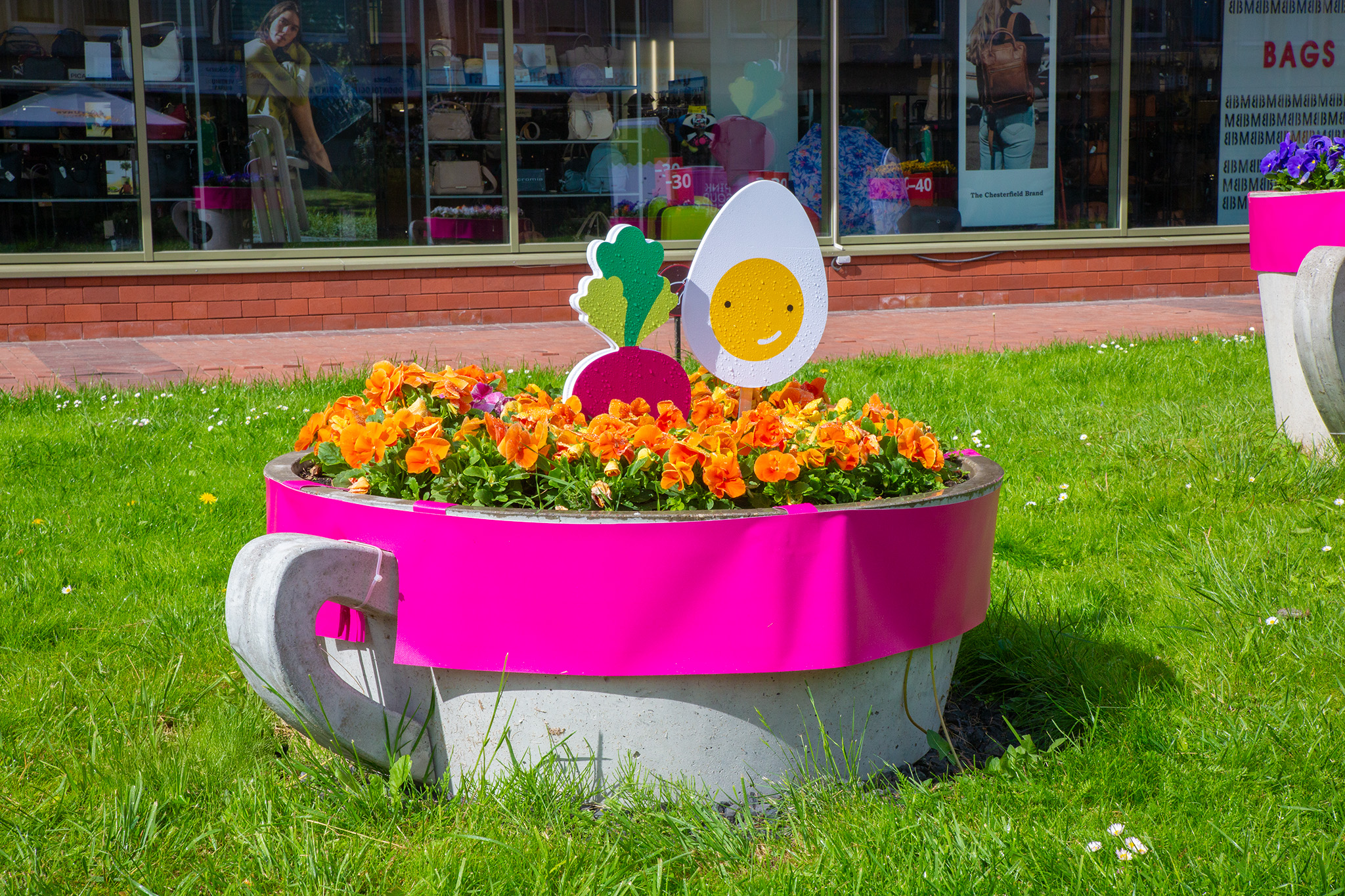 CUP_Pink soup_naujiena 20260526_5