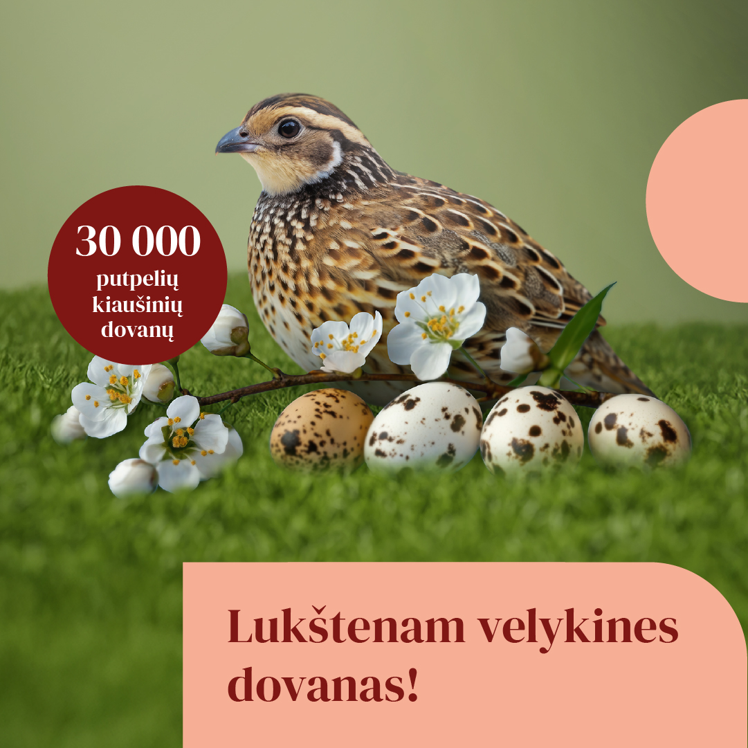 30 000 putpelių kiaušinių dovanų!