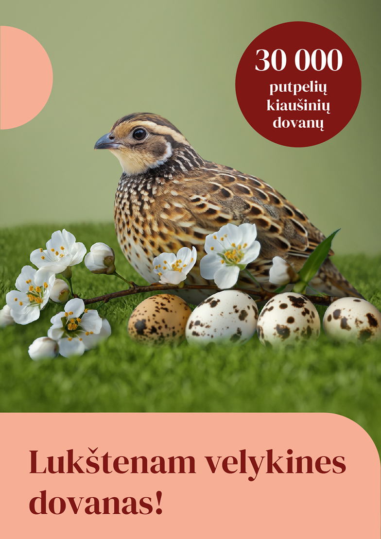 30 000 putpelių kiaušinių dovanų!