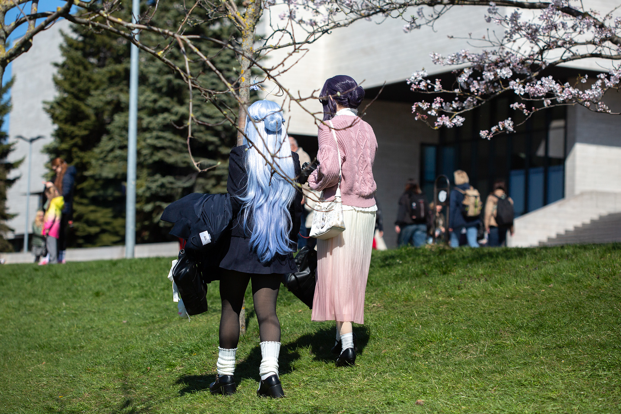 CUP_Sakura_naujiena_20260420_8