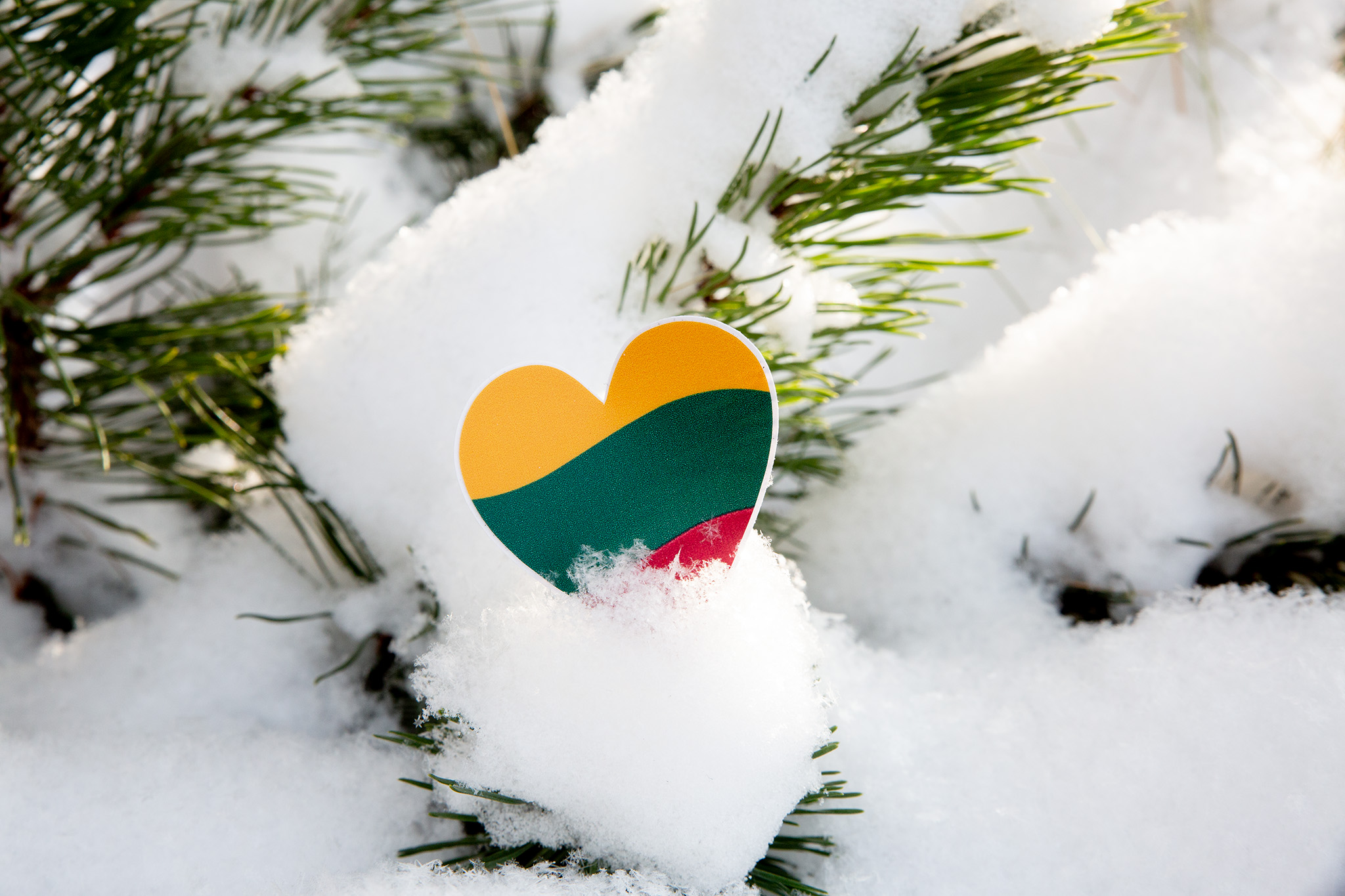 Paminėkime Laisvės gyvėjų dieną kartu