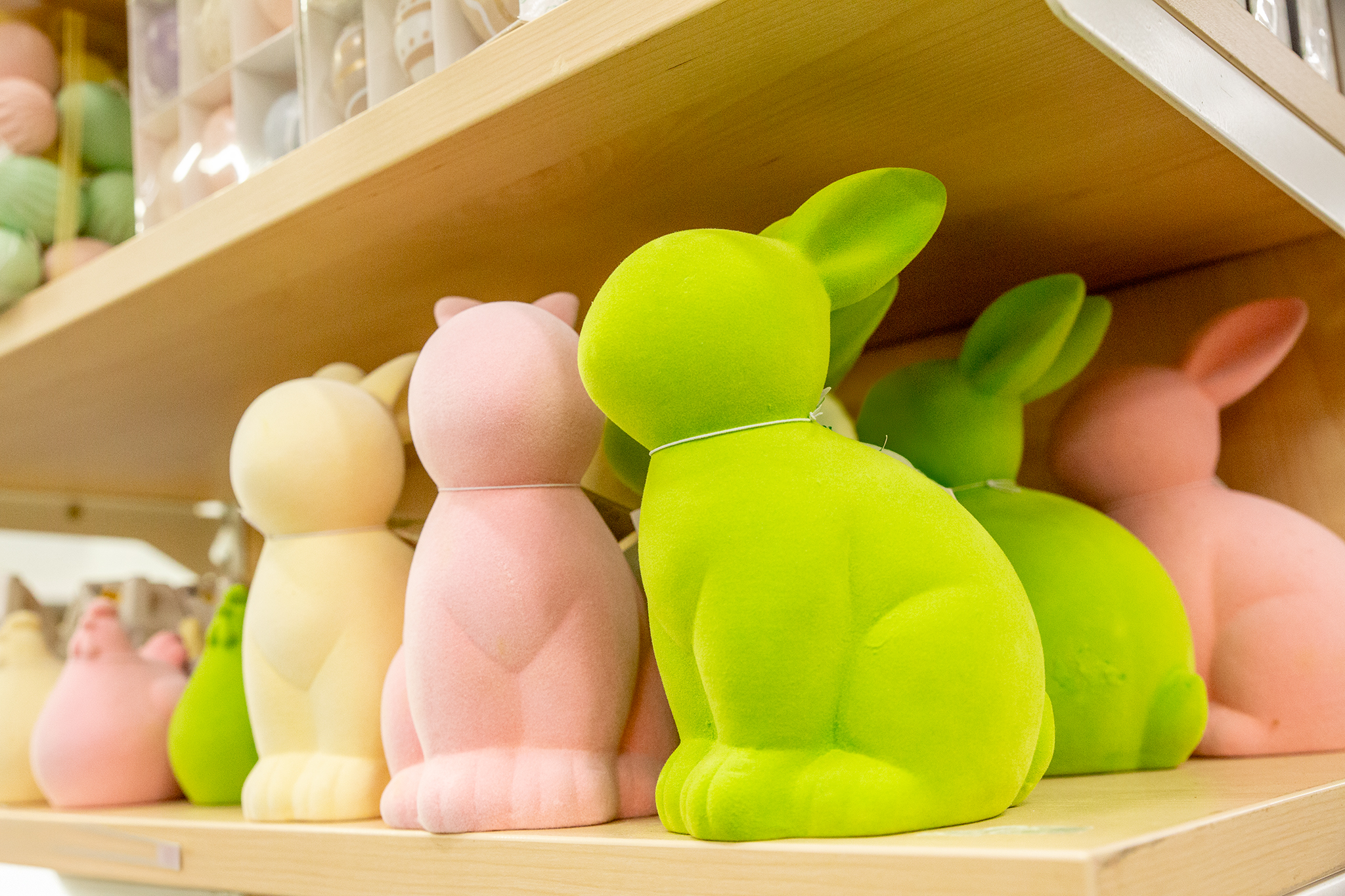 CUP_Velykos_naujiena_20260331_5