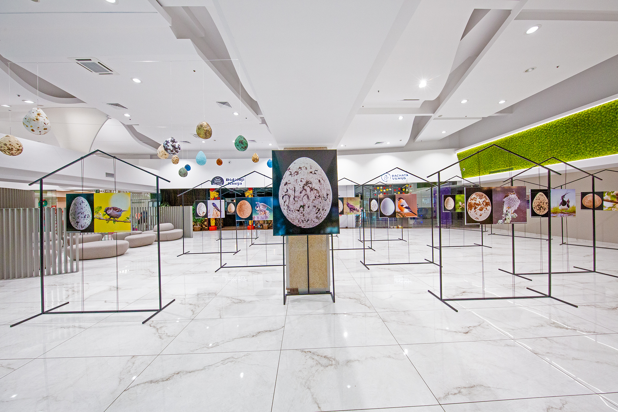 CUP_pauksciu kiausiniu paroda_202603_1