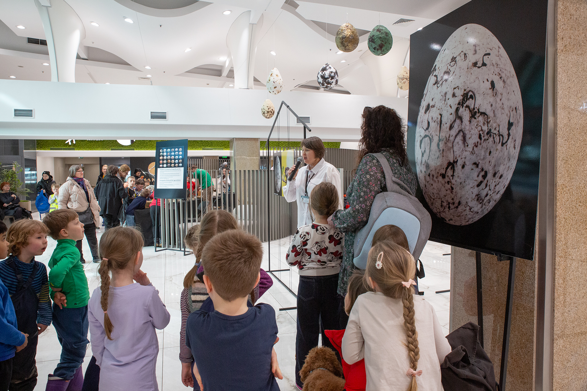 CUP_pauksciu kiausiniu paroda_202603_12