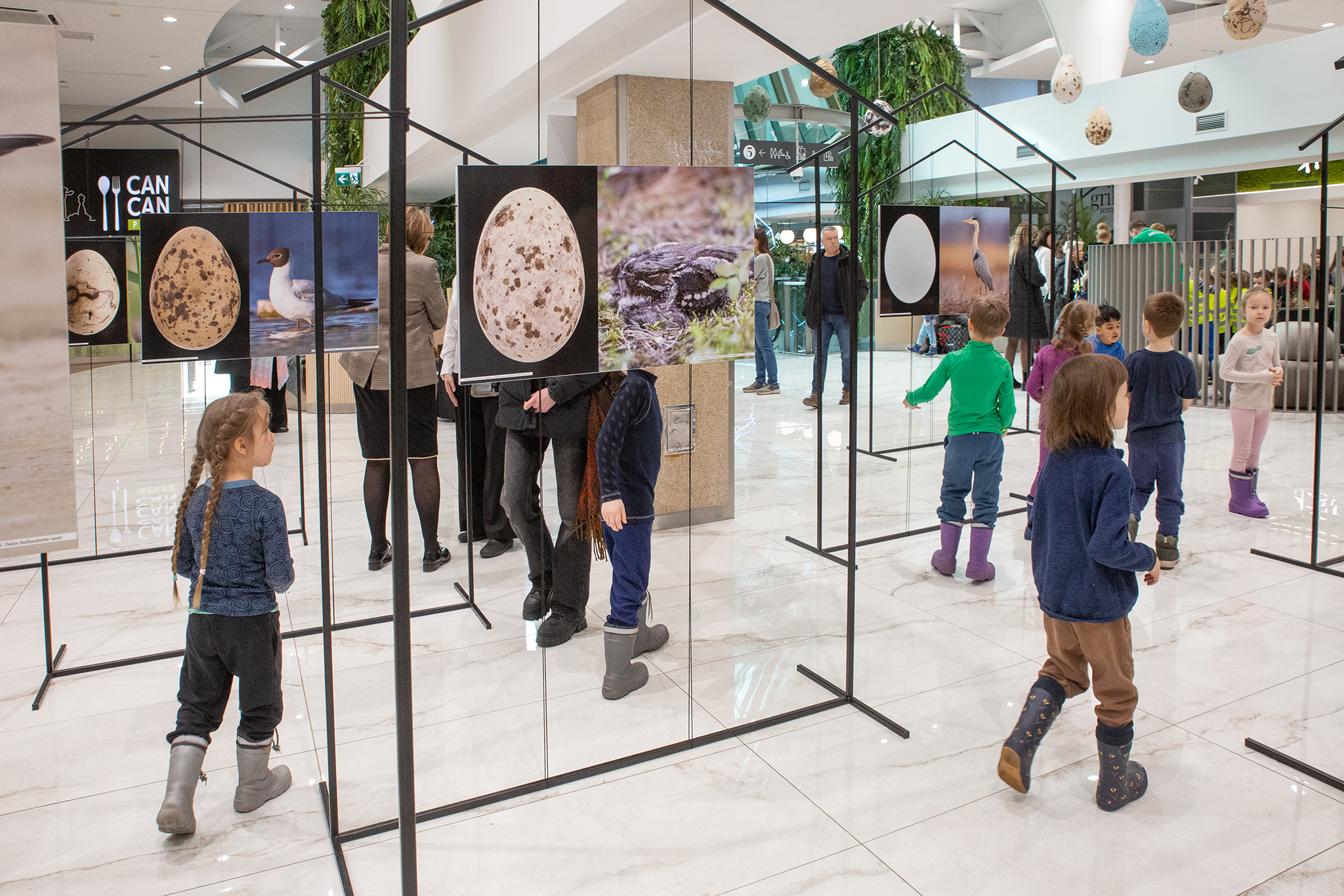 CUP_pauksciu kiausiniu paroda_202603_13