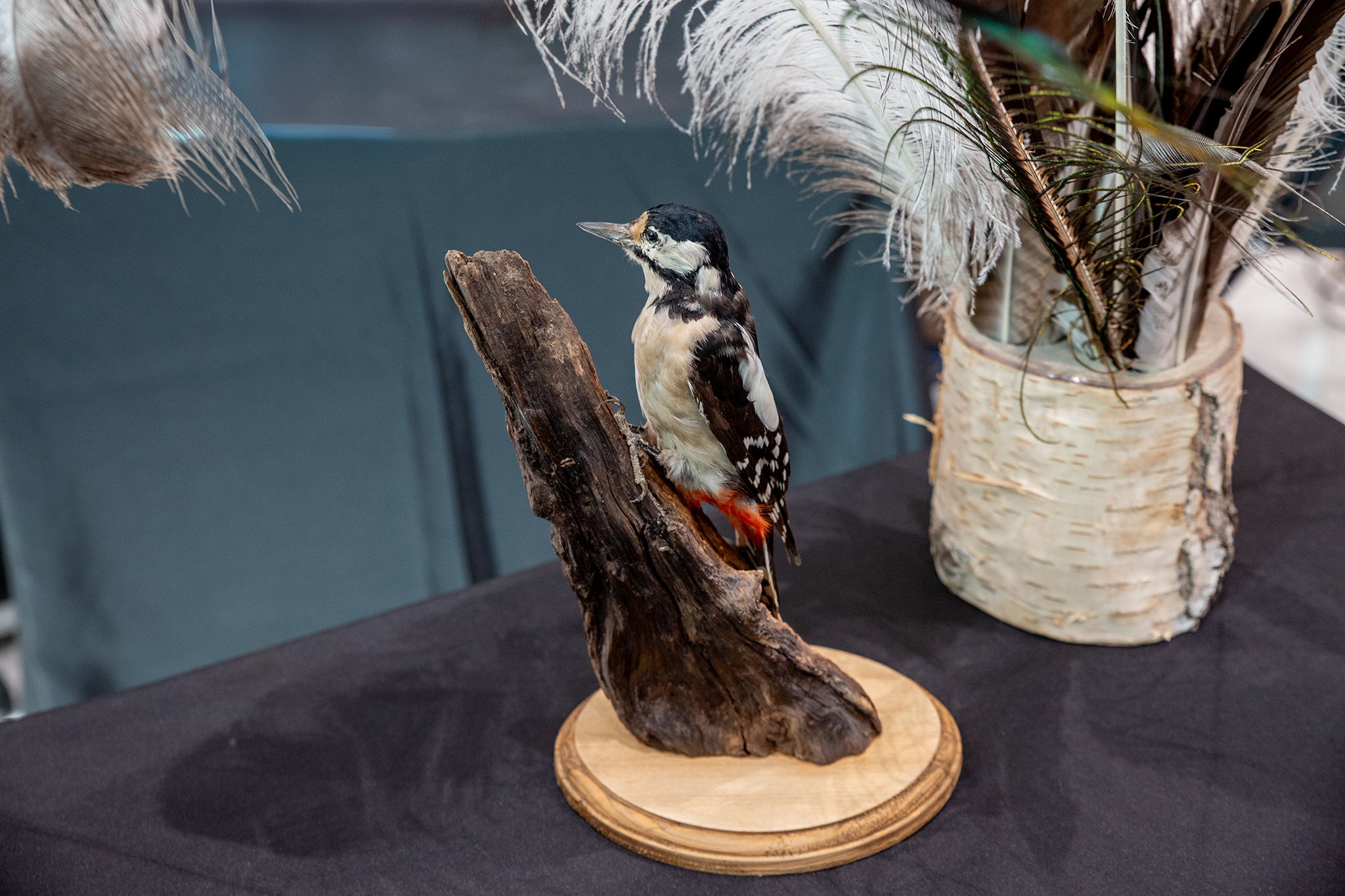 CUP_pauksciu kiausiniu paroda_202603_16