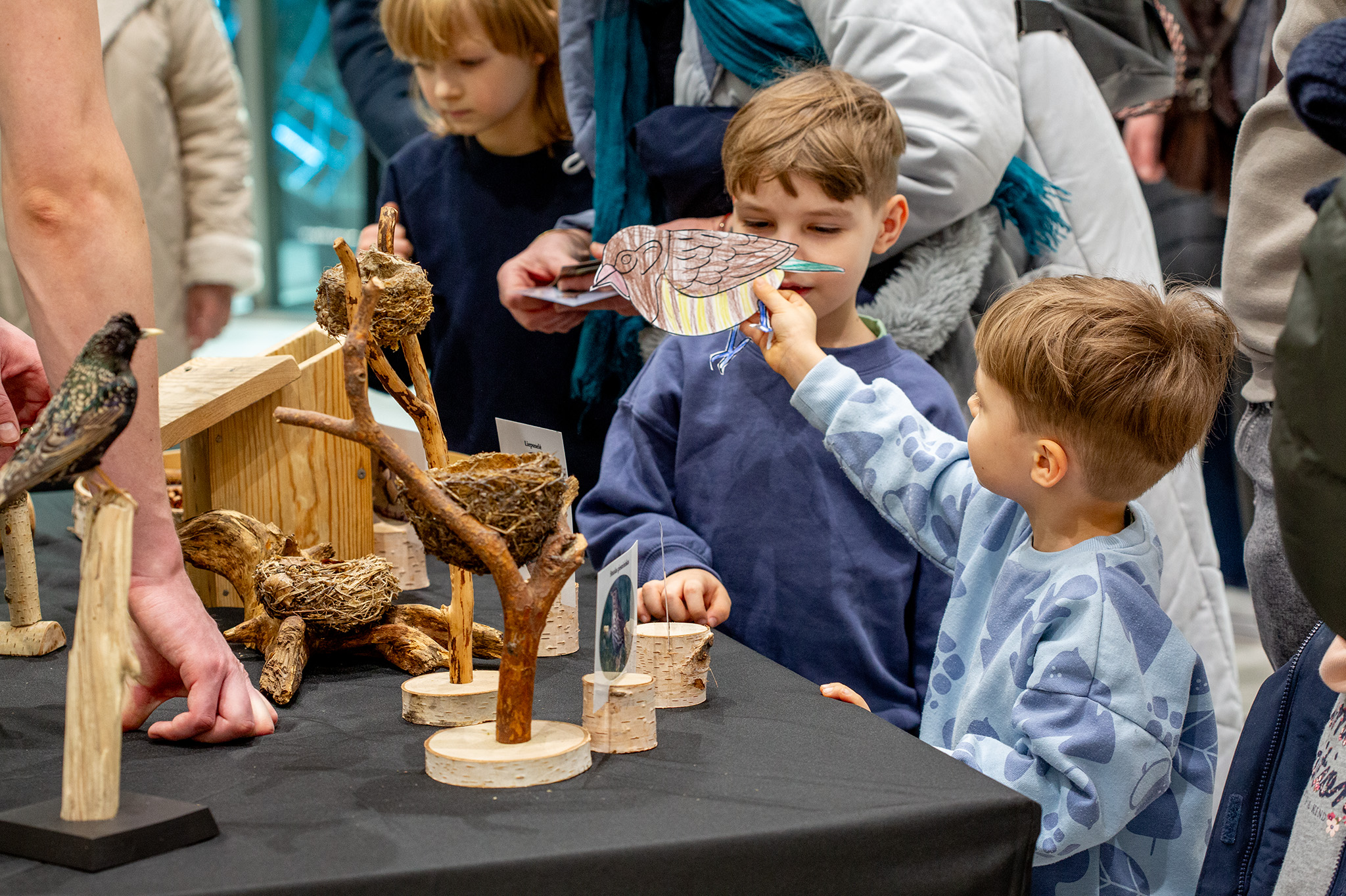 CUP_pauksciu kiausiniu paroda_202603_18