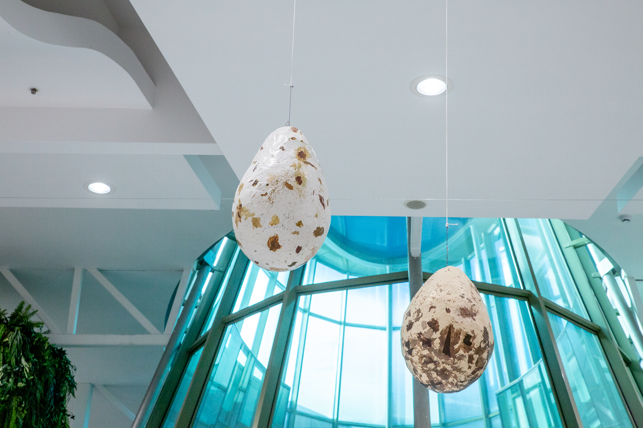 CUP_pauksciu kiausiniu paroda_202603_2