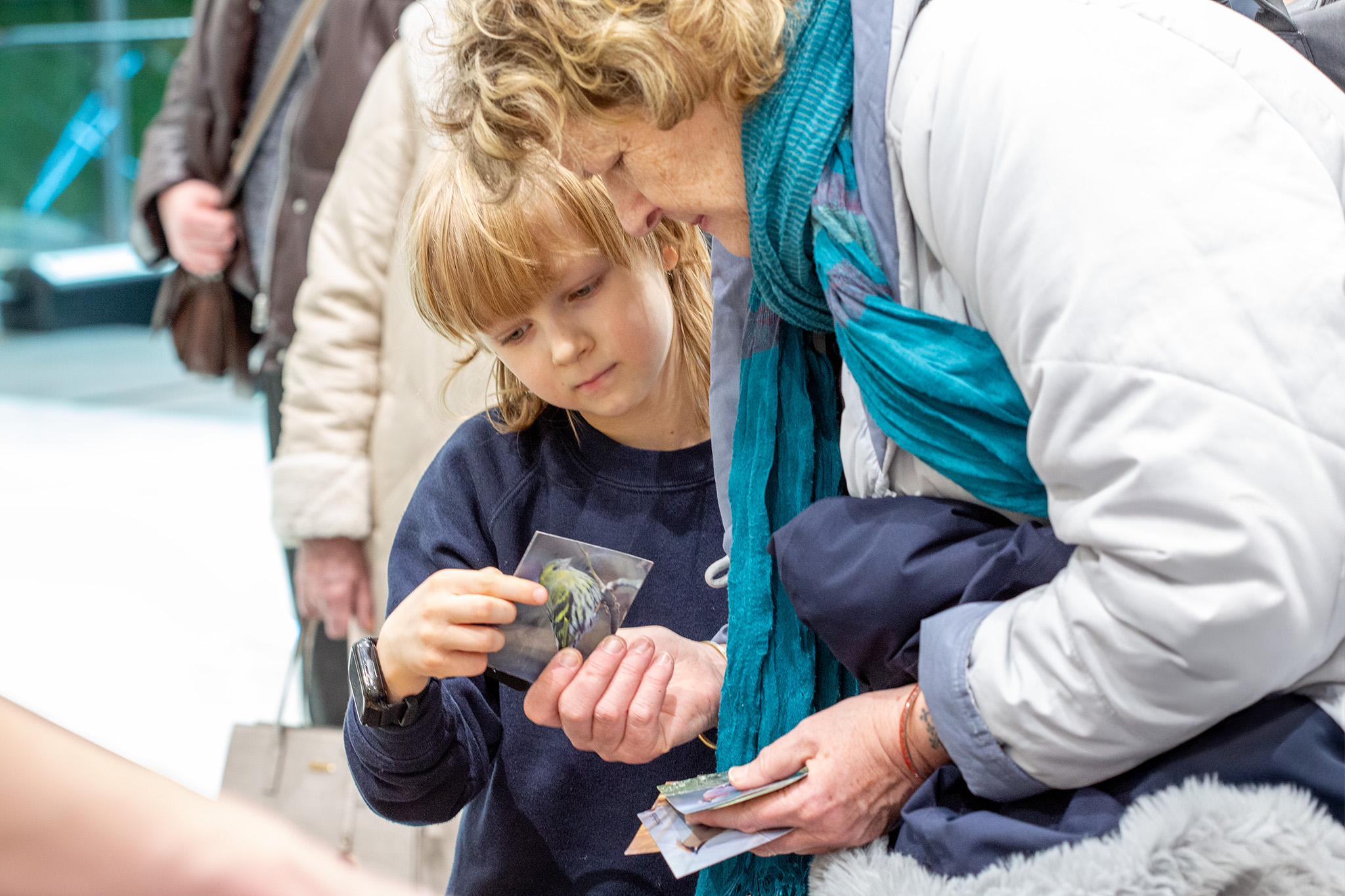 CUP_pauksciu kiausiniu paroda_202603_20