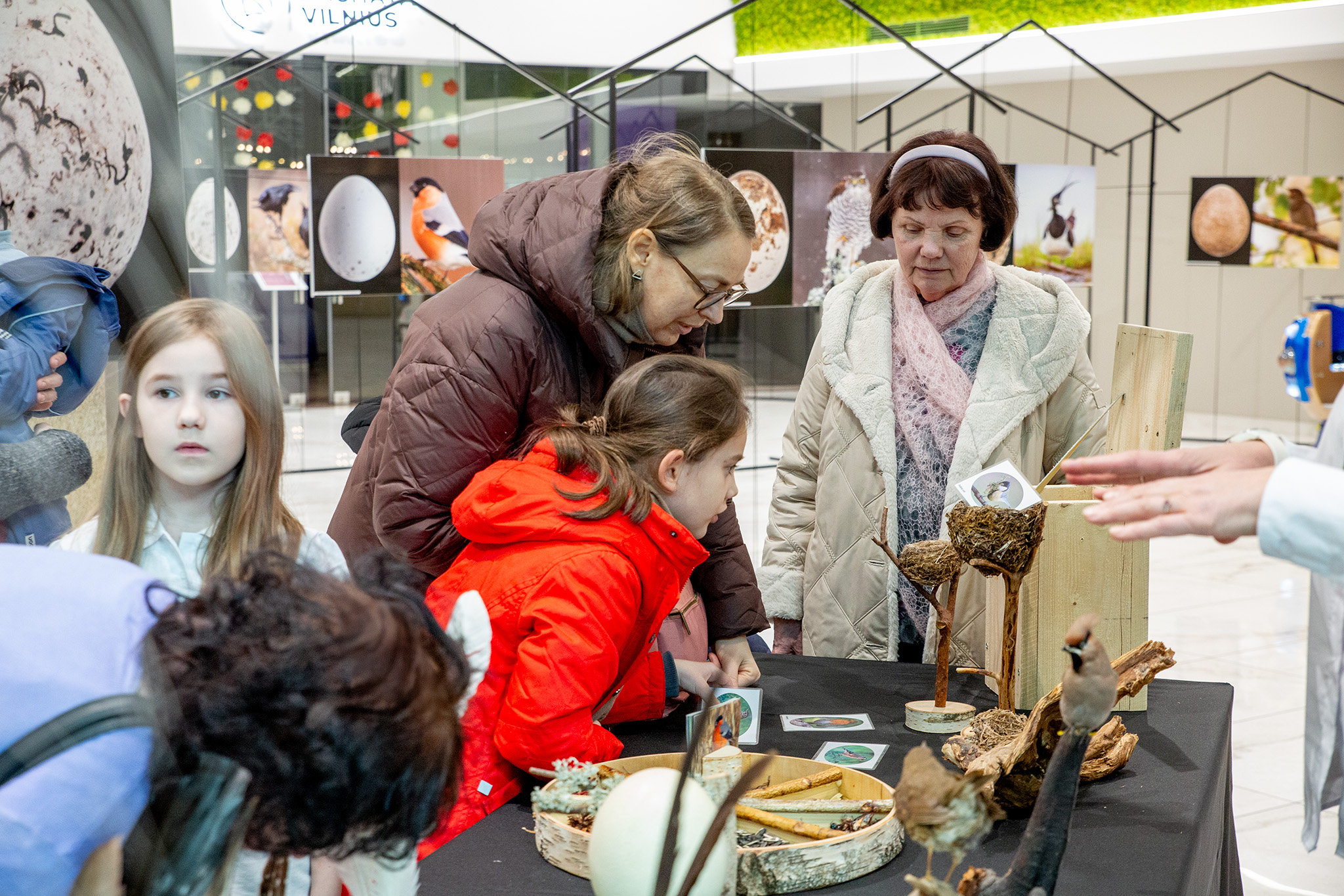 CUP_pauksciu kiausiniu paroda_202603_21