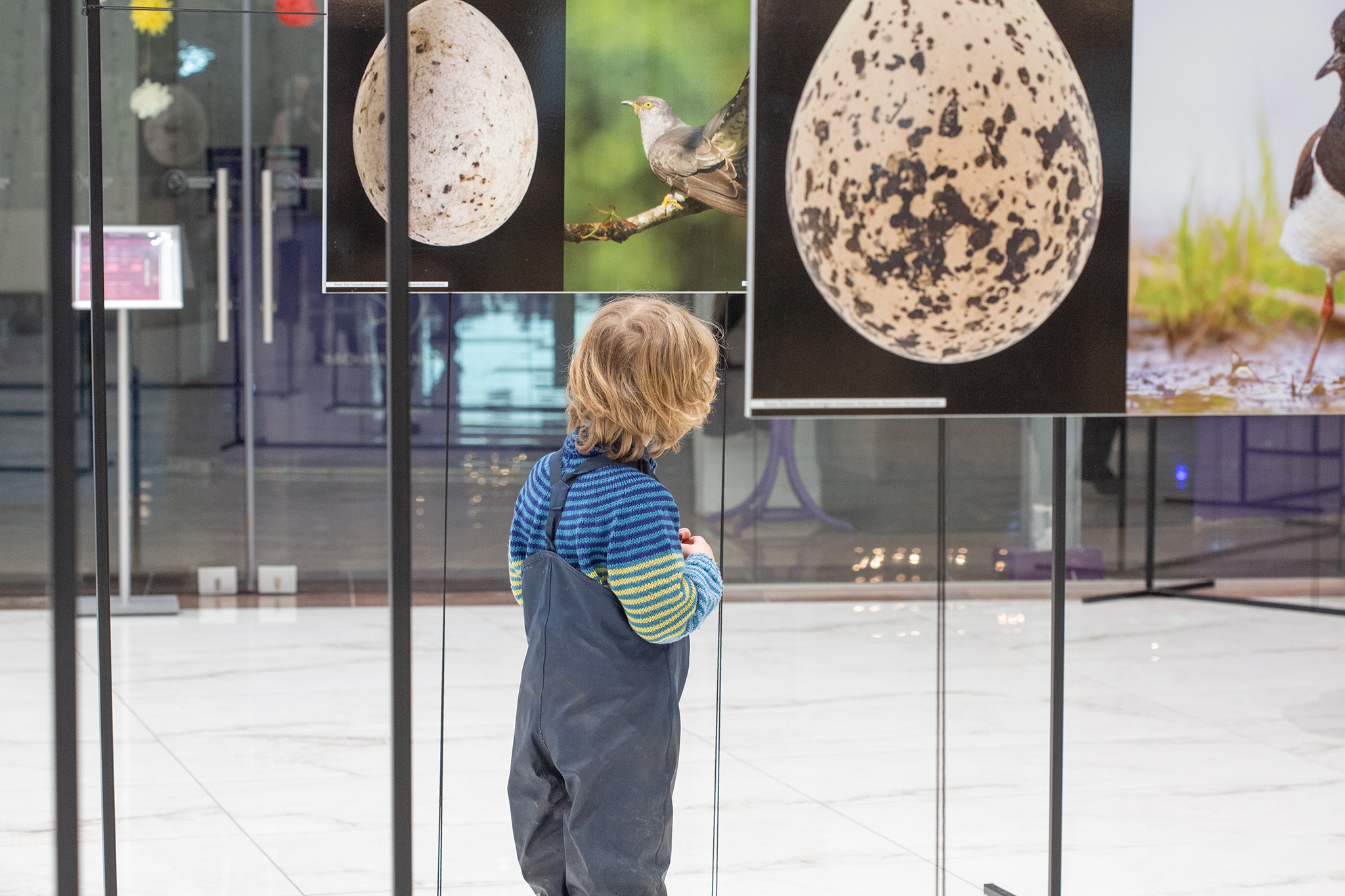 5 aukšte atidaryta nauja paroda!