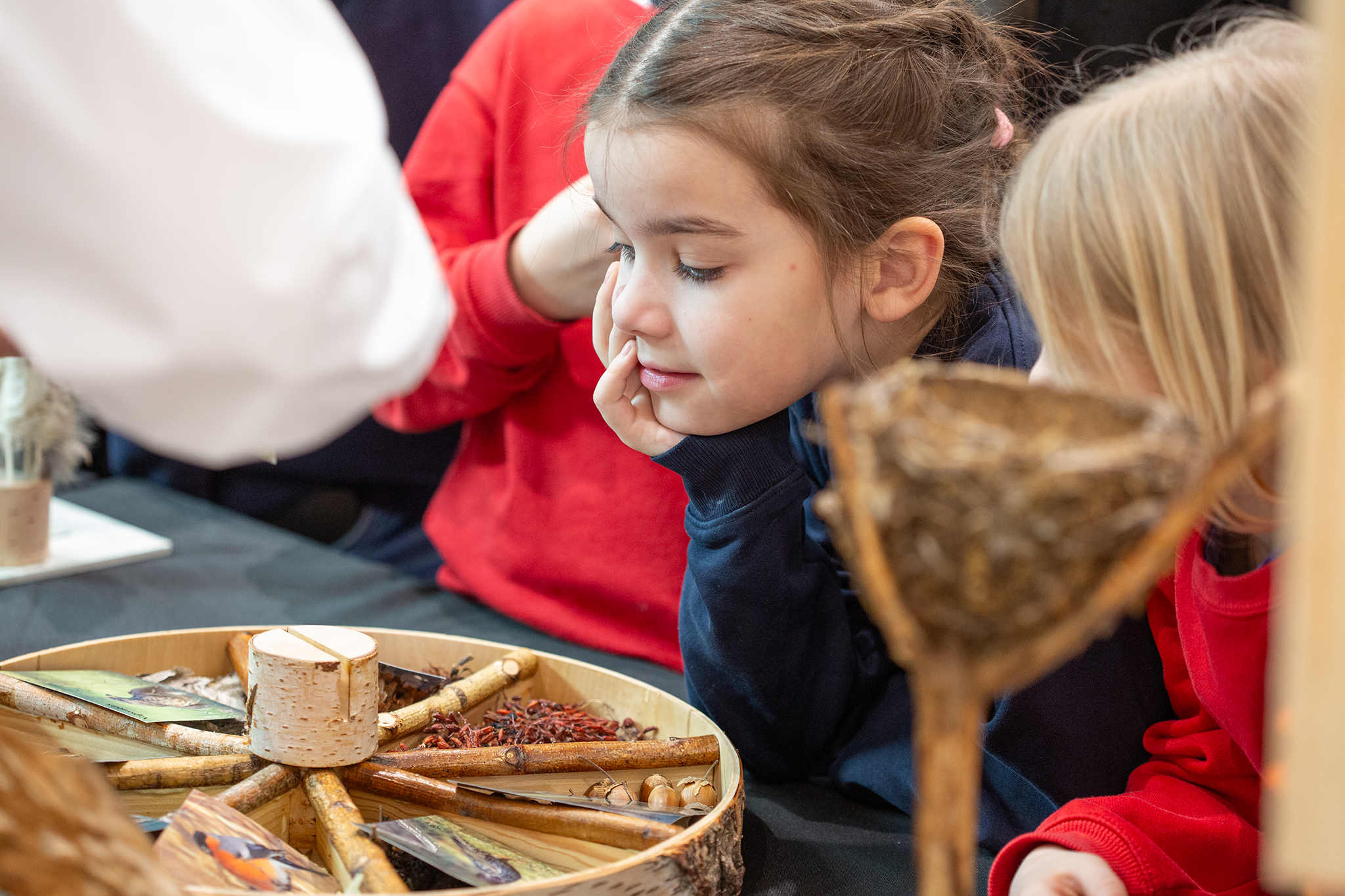 CUP_pauksciu kiausiniu paroda_202603_25