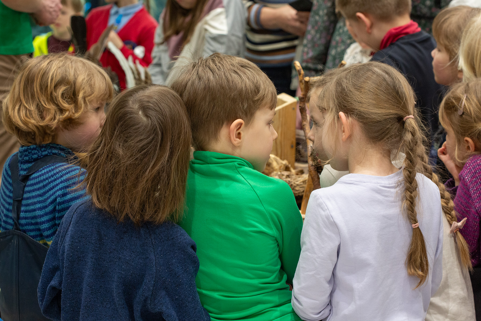 CUP_pauksciu kiausiniu paroda_202603_28