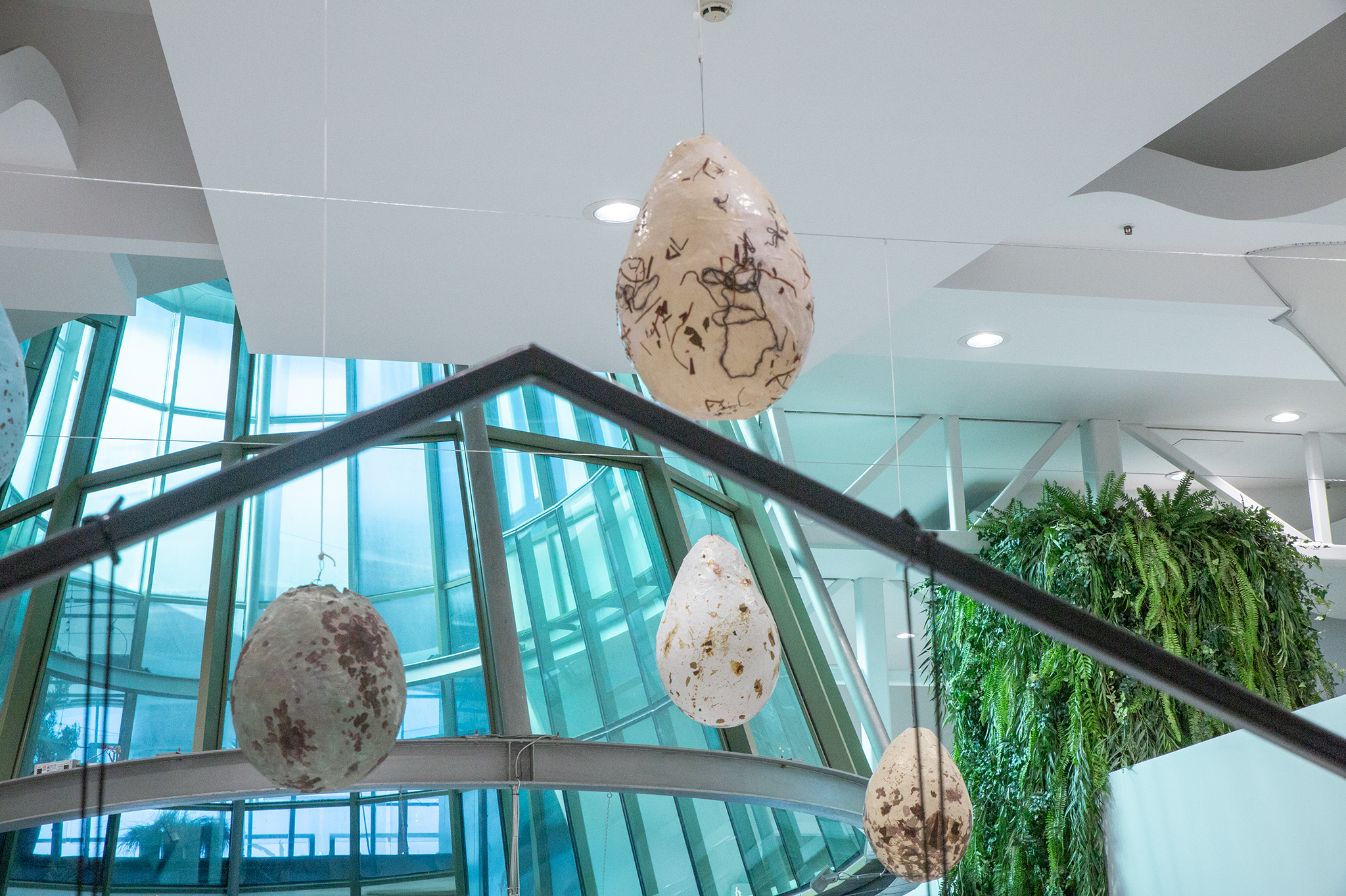 CUP_pauksciu kiausiniu paroda_202603_29