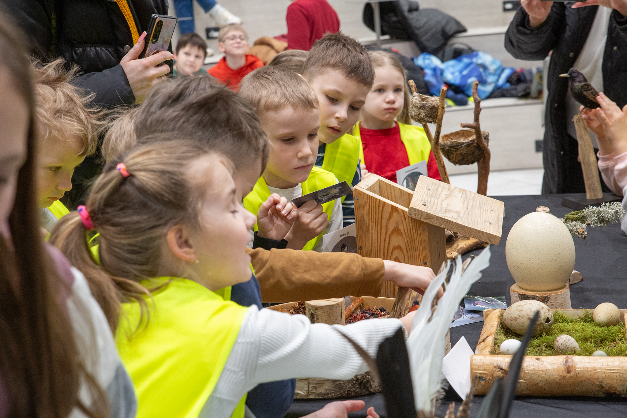 CUP_pauksciu kiausiniu paroda_202603_33