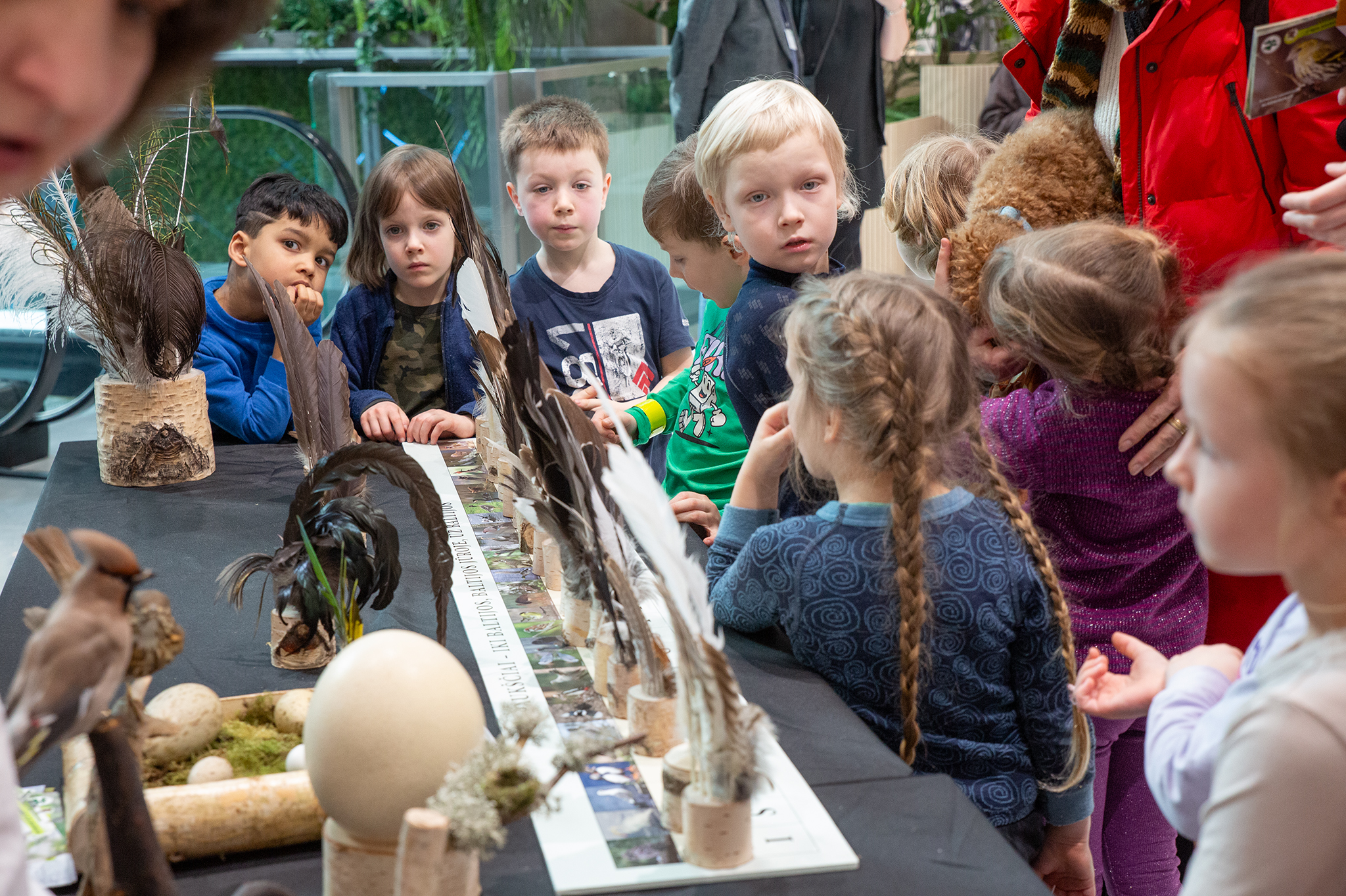 CUP_pauksciu kiausiniu paroda_202603_36