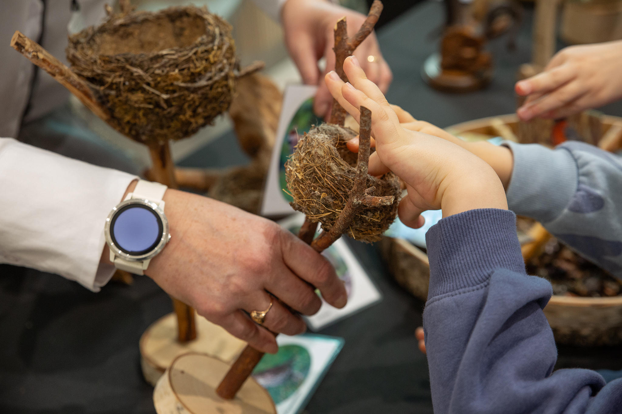 CUP_pauksciu kiausiniu paroda_202603_38